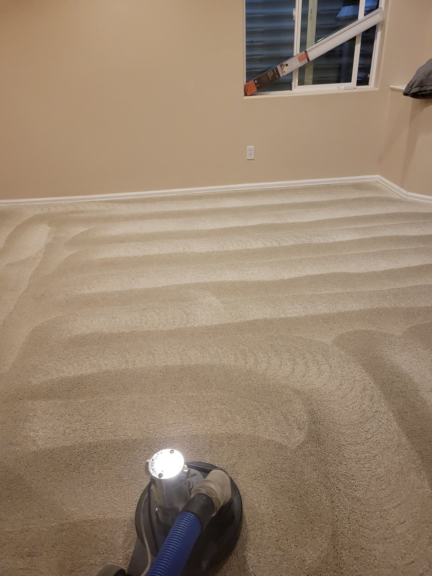 Beautiful Clean, Spot Free, Dirt Free, Organic Carpet Cleaning With King Organic Clean. 