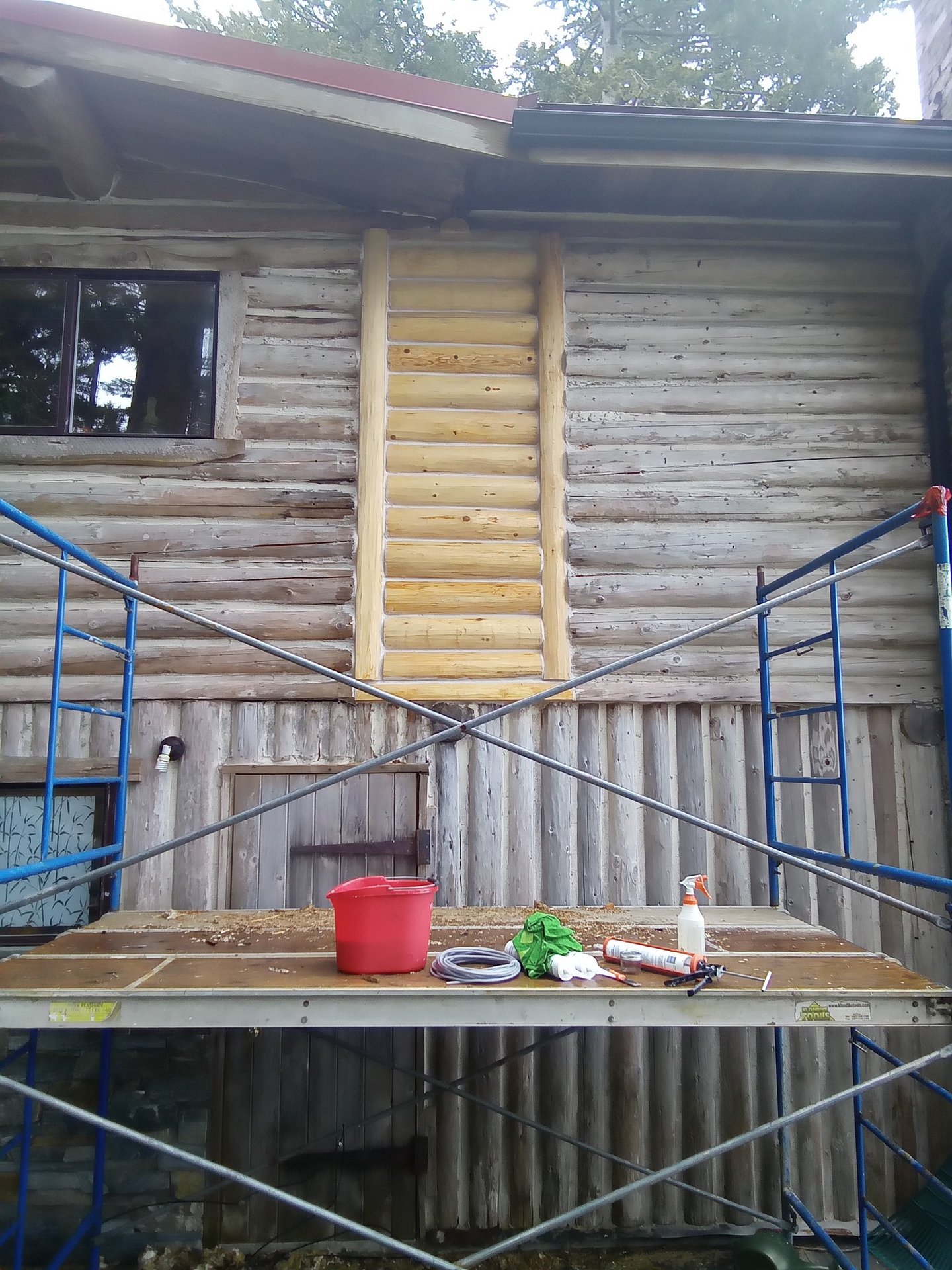 log replacement on Vancouver Island log home