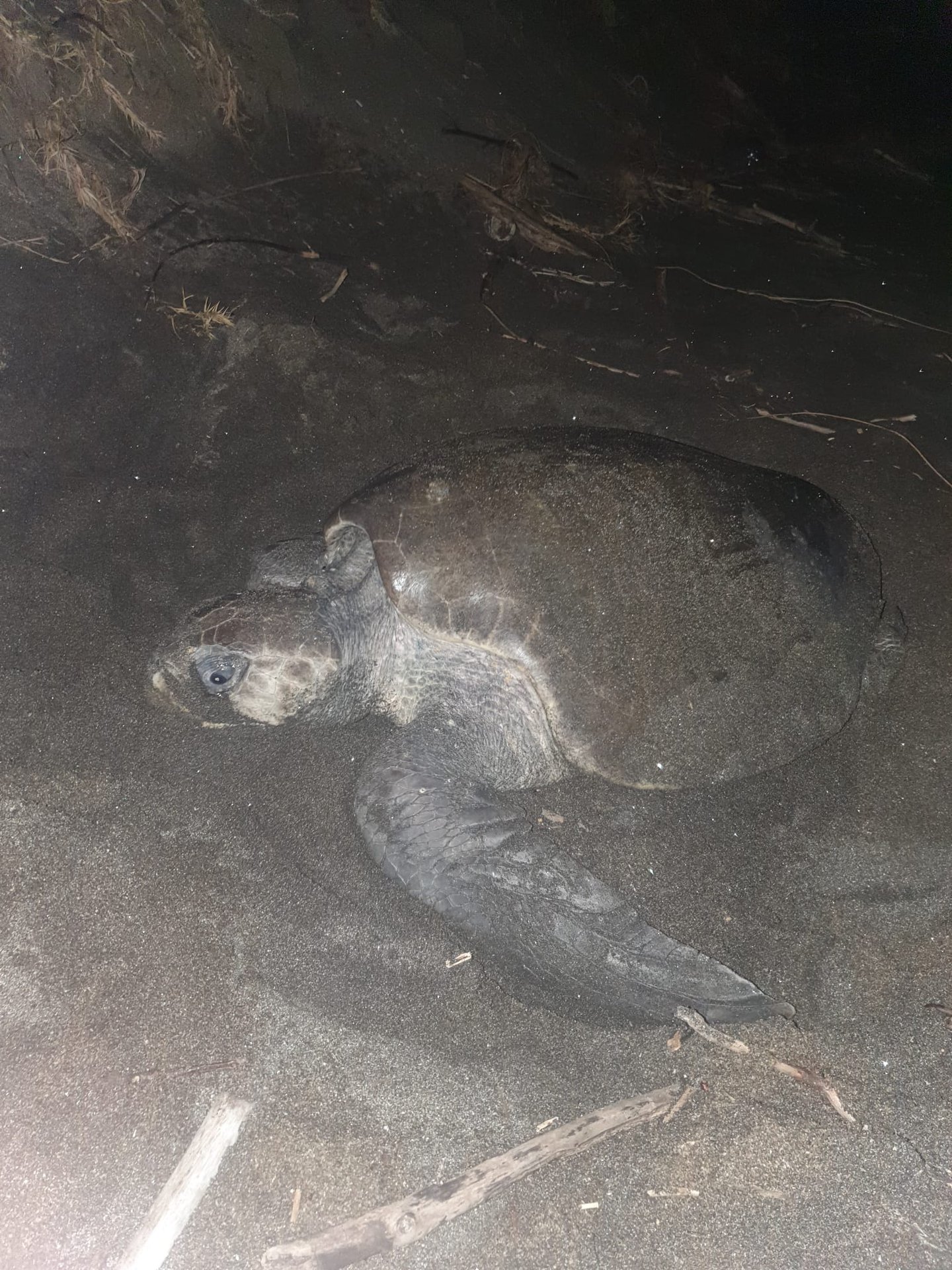 Juan Venado Island | Leon, Nicaragua | The Original Tours