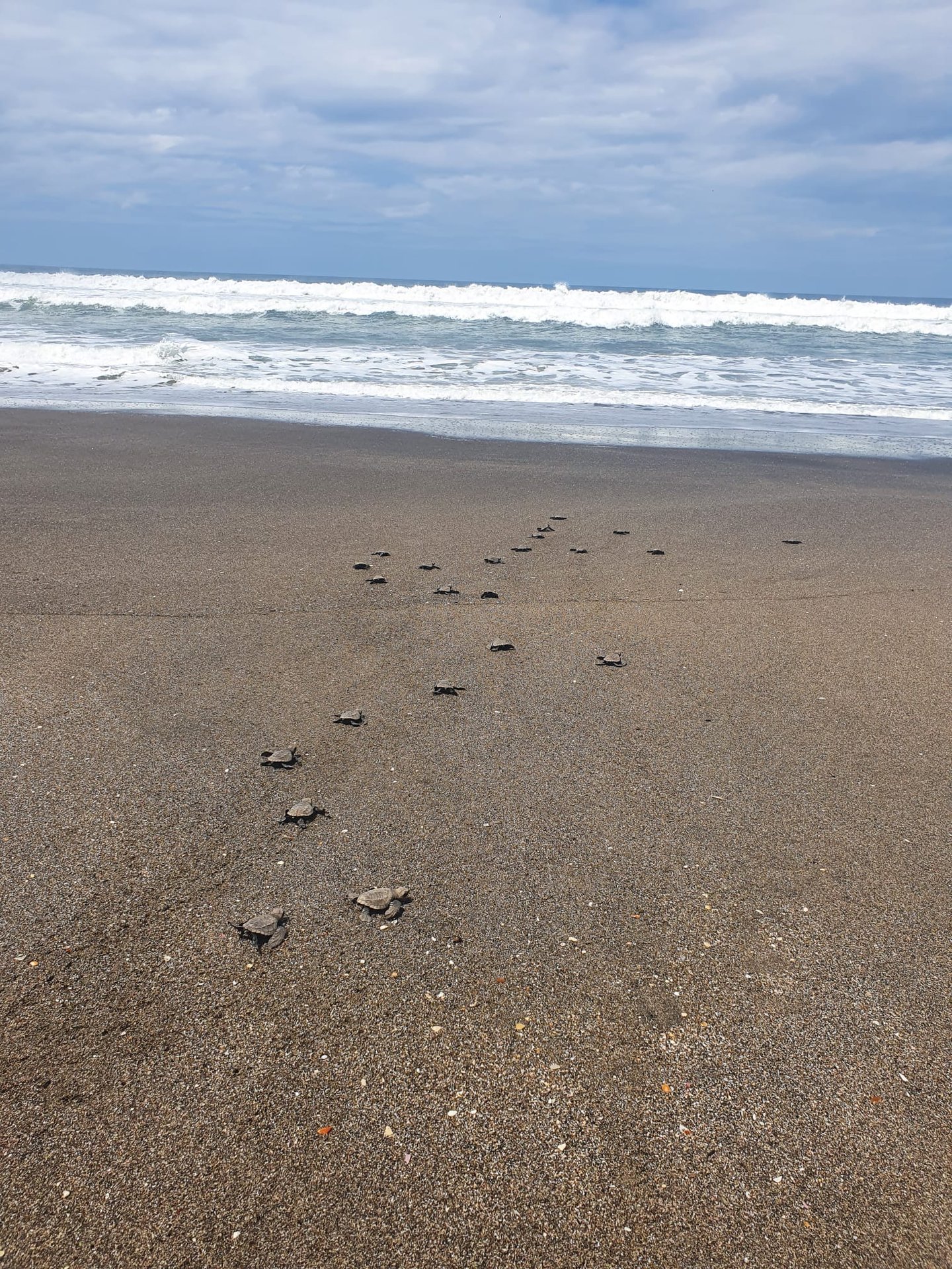 Las Penitas | Leon, Nicaragua | The Original Tours