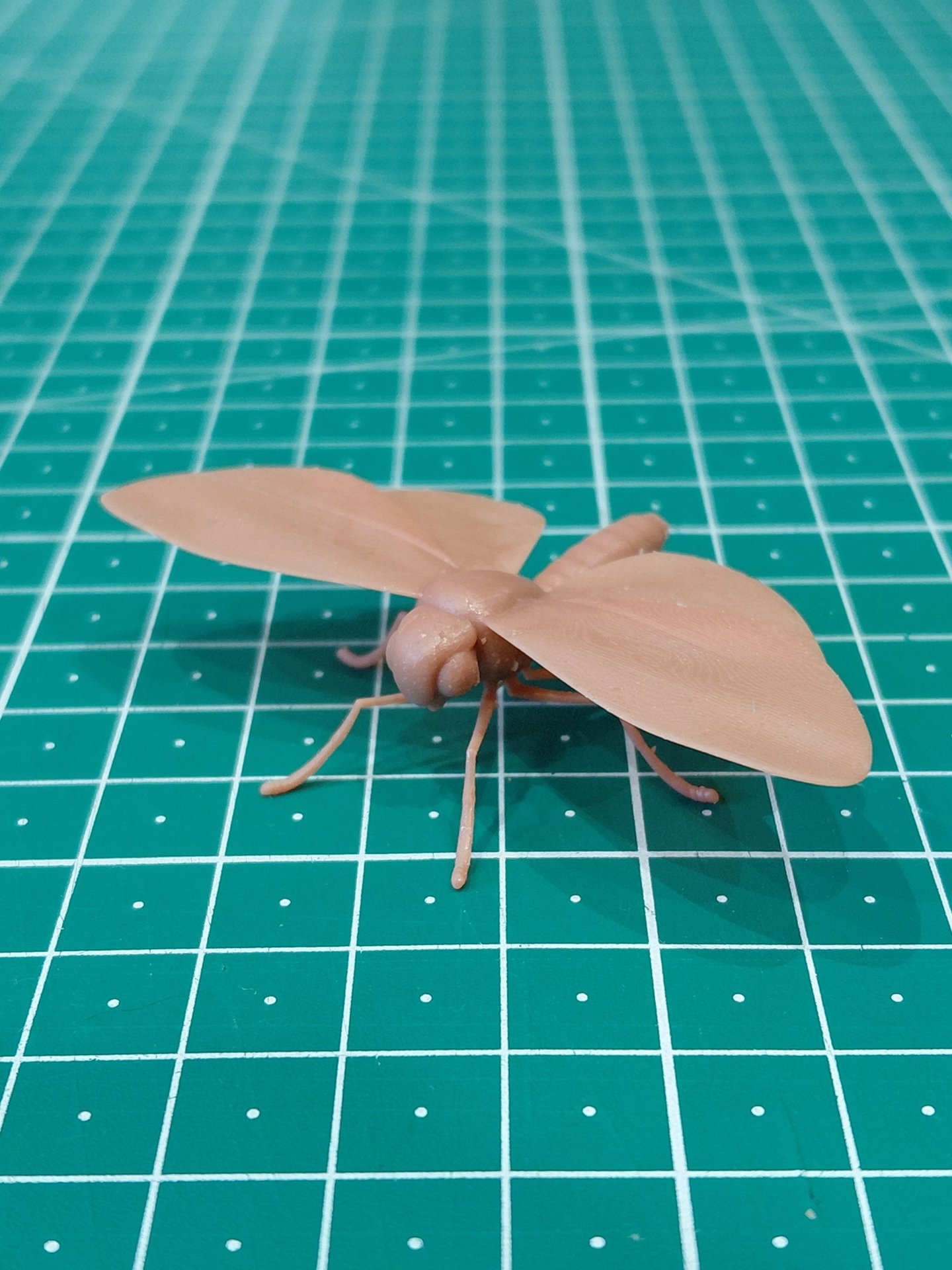 insecte imprimé en 3d