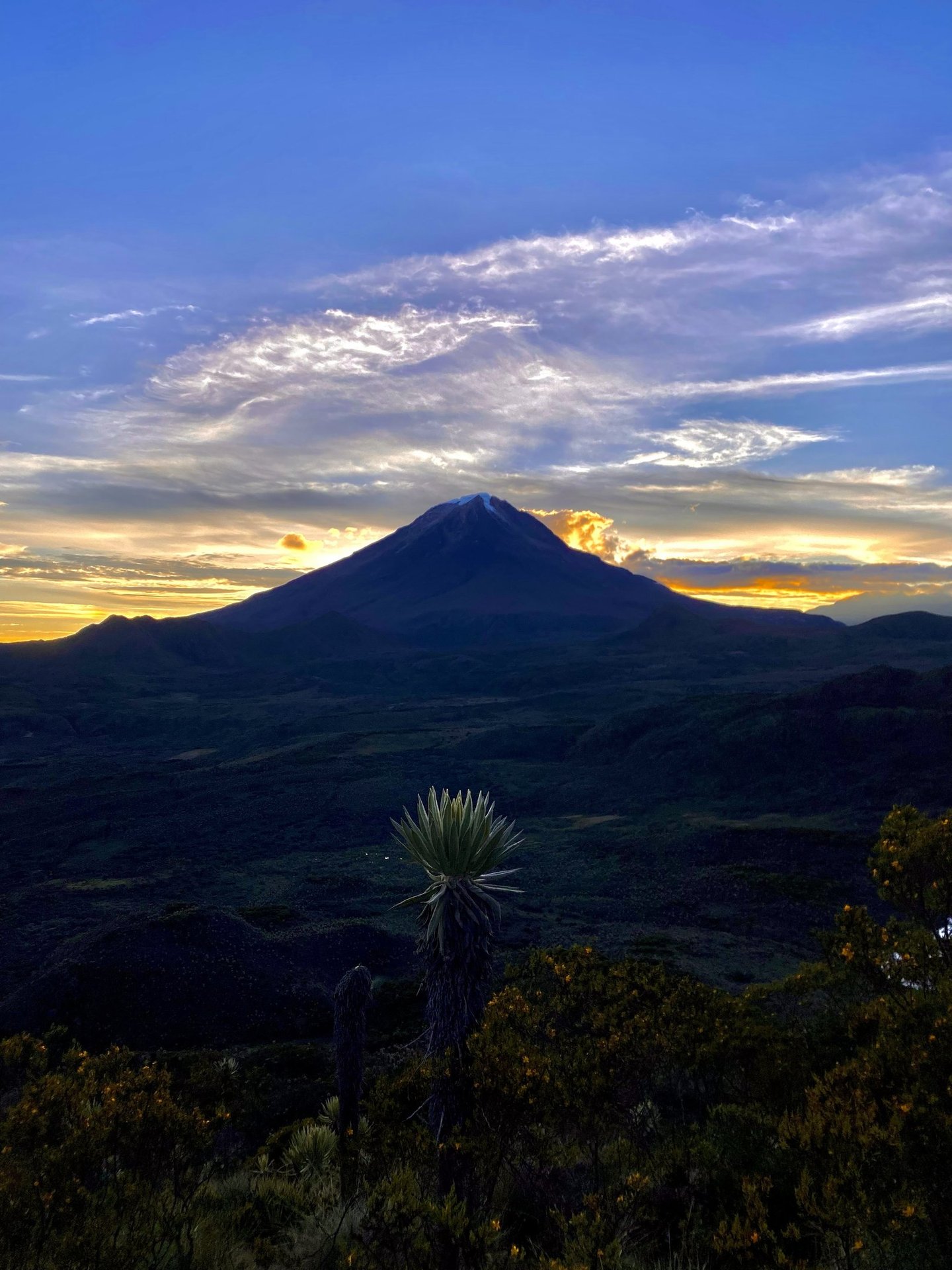 Grupo de caminantes sonriendo junto a un frailejón frente al nevado del tolima.