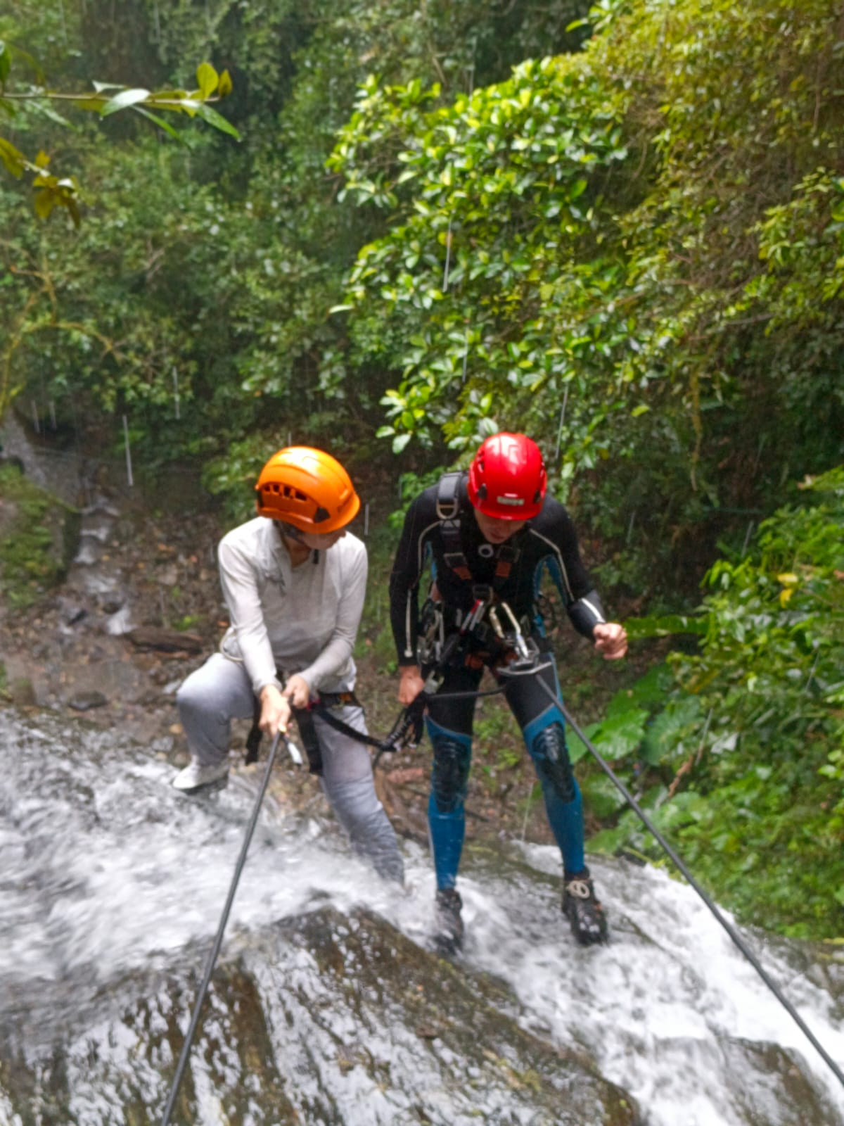 Persona descendiendo en rápel por la Cascada Luciana entre roca y bosque húmedo