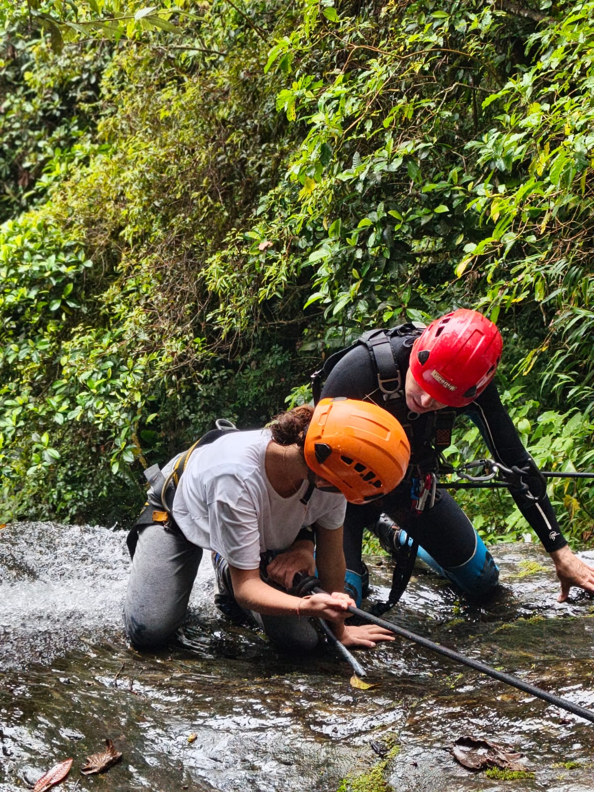 Acompañamiento turístico mensual para fincas rurales