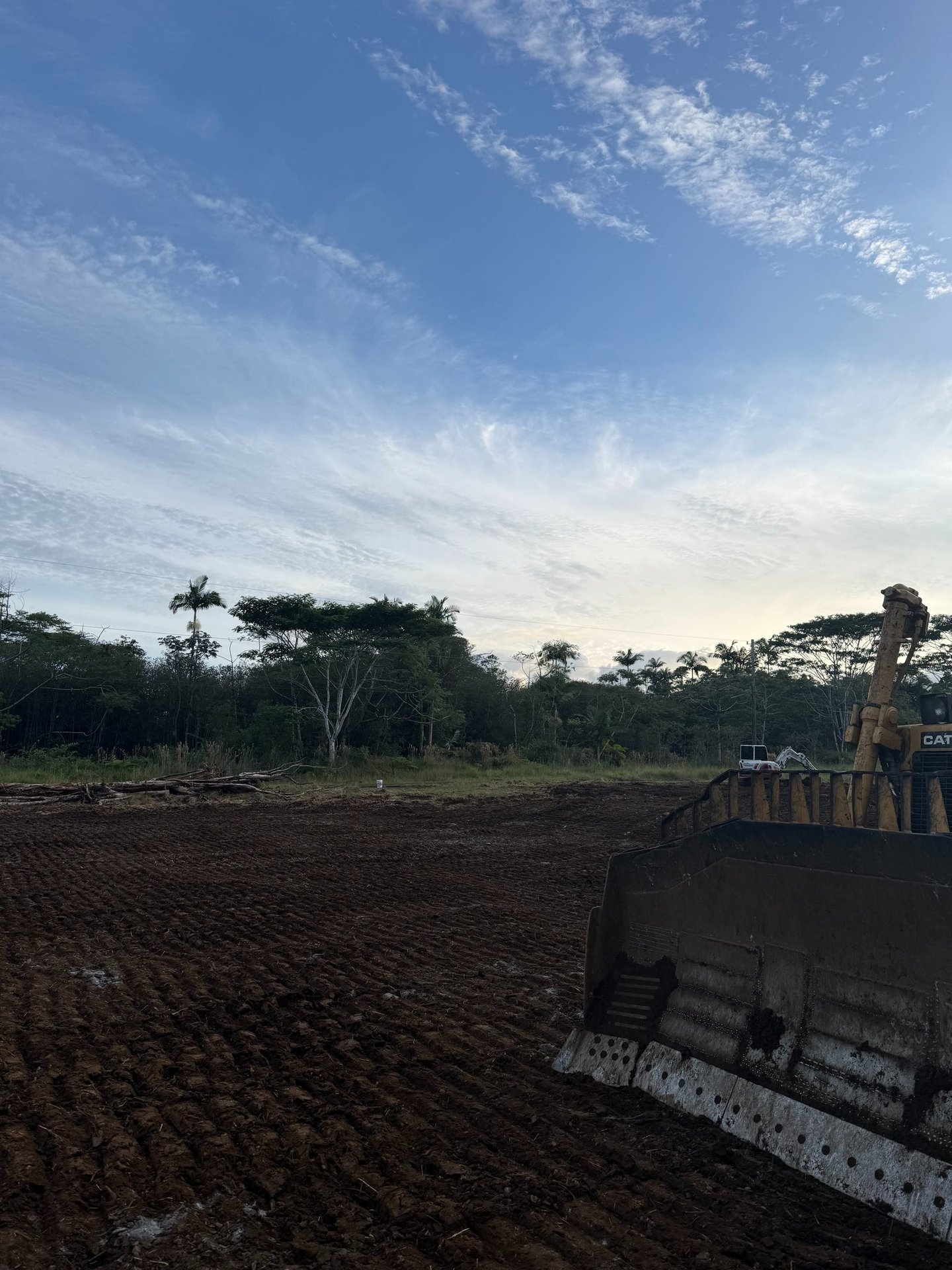 Land Clearing Hilo, Hawaii