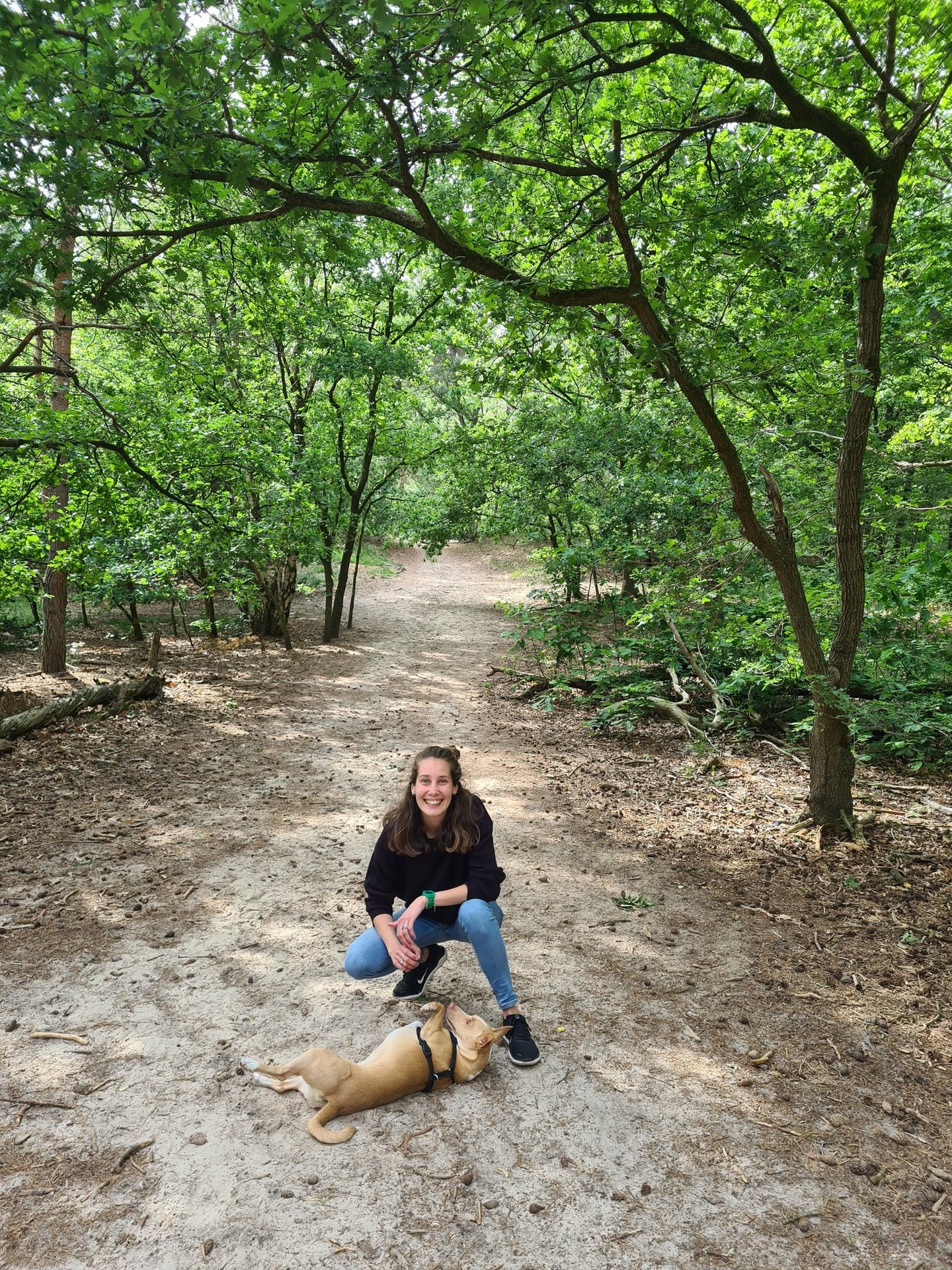 a woman and a dog sitting in the forest