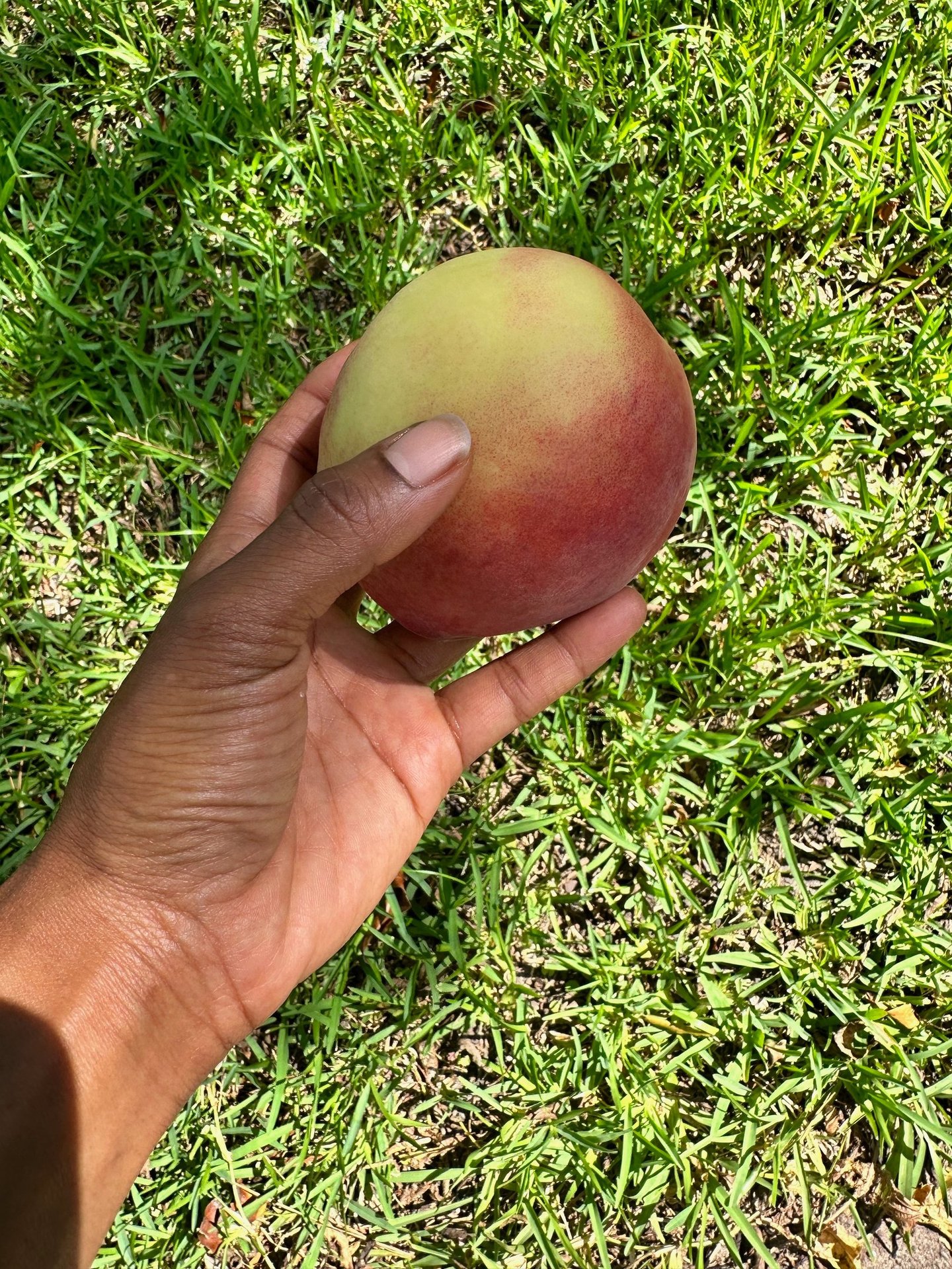 hand holding peach business support team