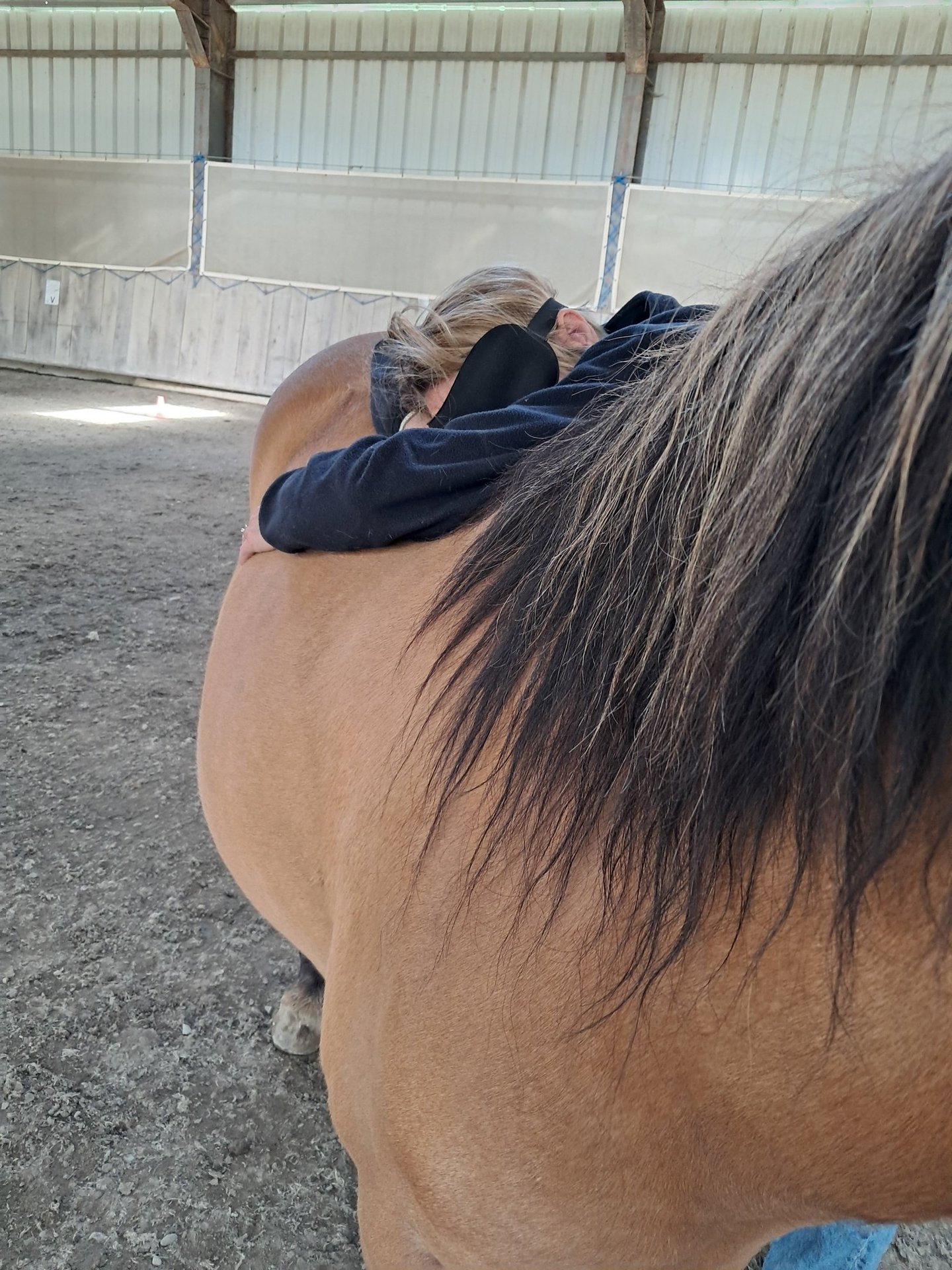 équithérapie : trouver du soutien avec le cheval