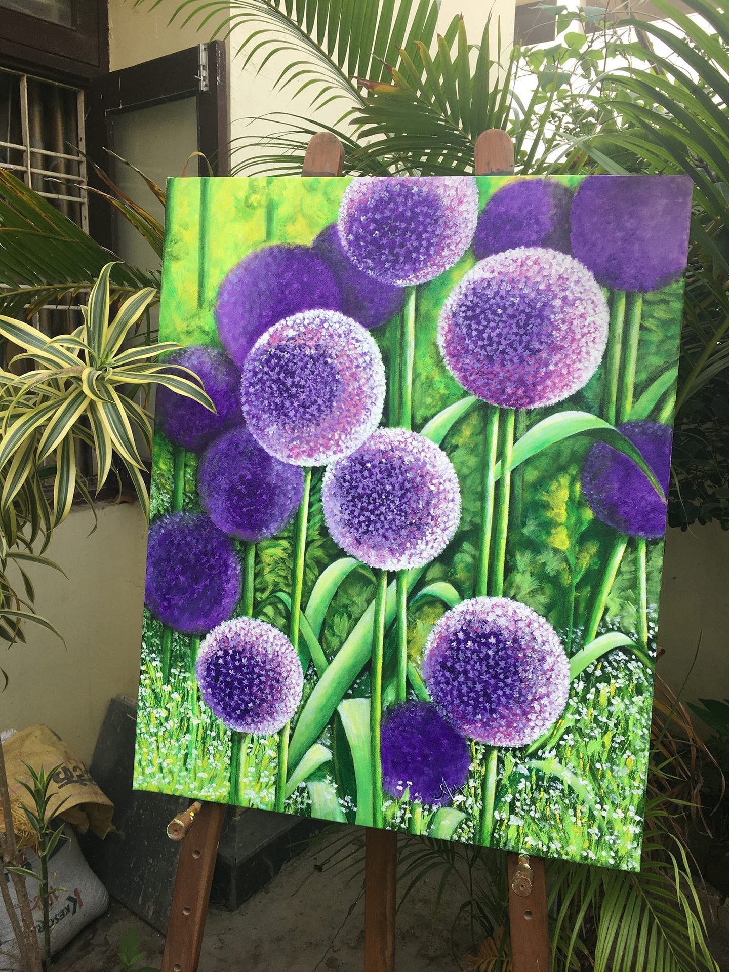 Beautiful Purple Allium in Acrylic
