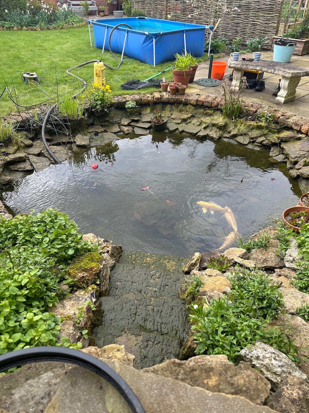 Pond clean