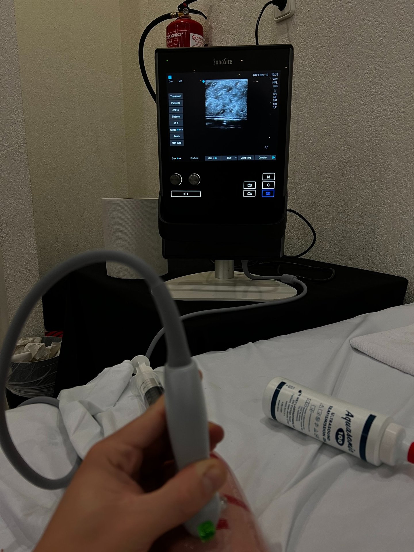 Taller de canalización ecoguiada de vía venosa periférica