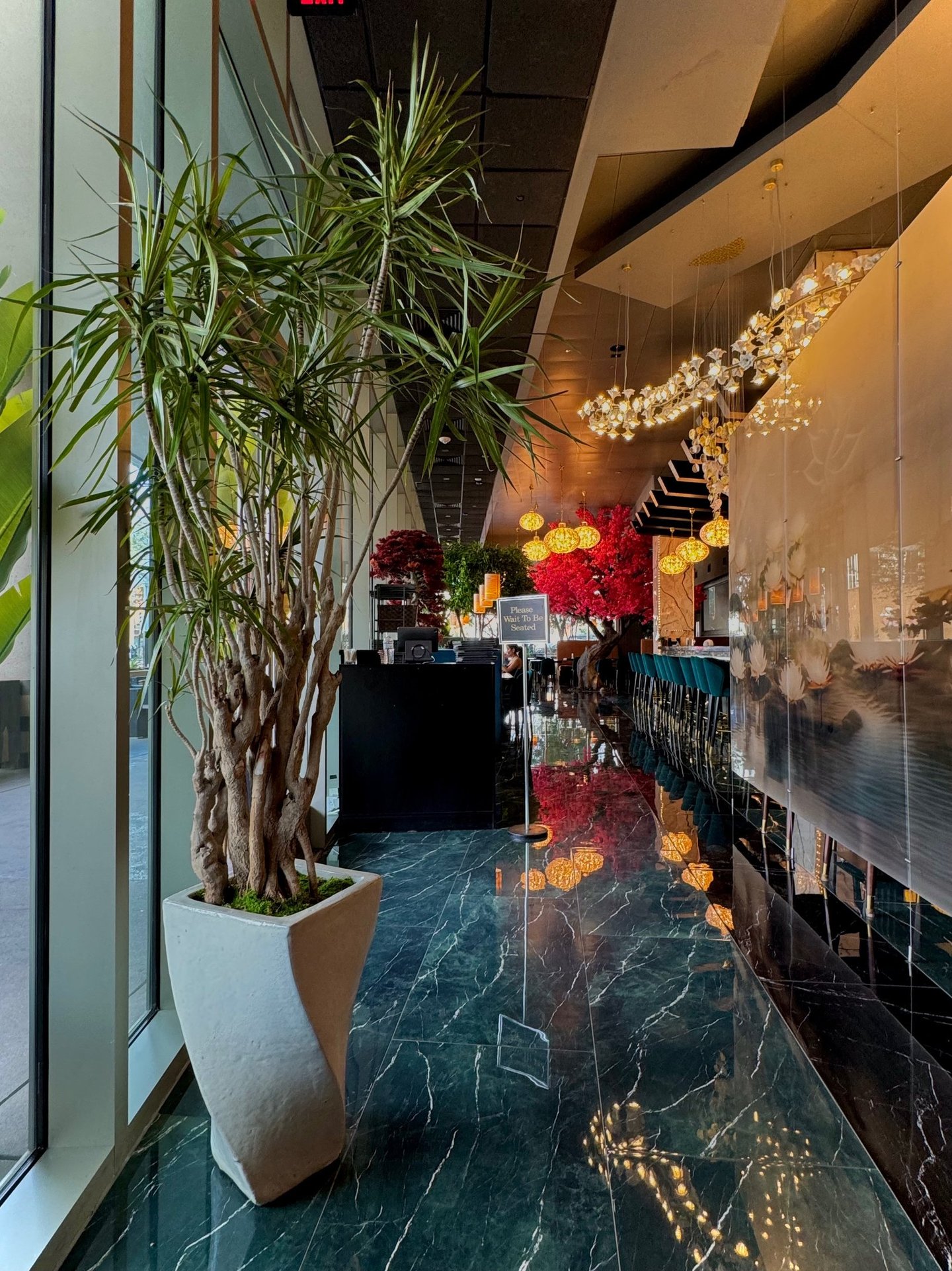 Commercial interior plant installation in a Tucson restaurant, Botanic Bliss Co.