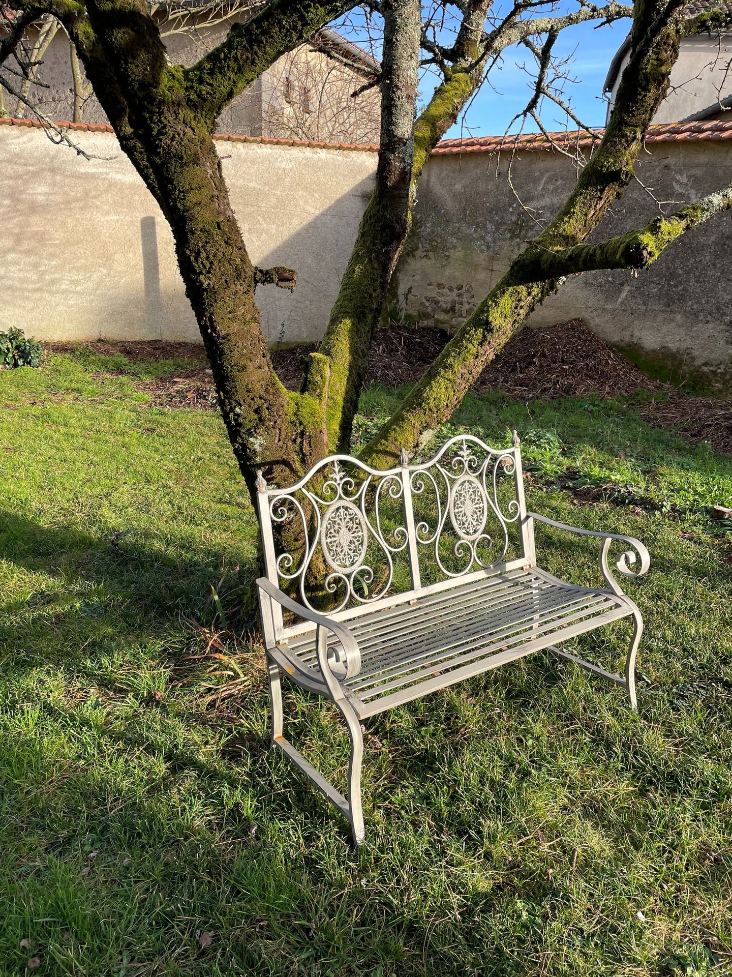 Sunny autumn seat underneath the cherry tree