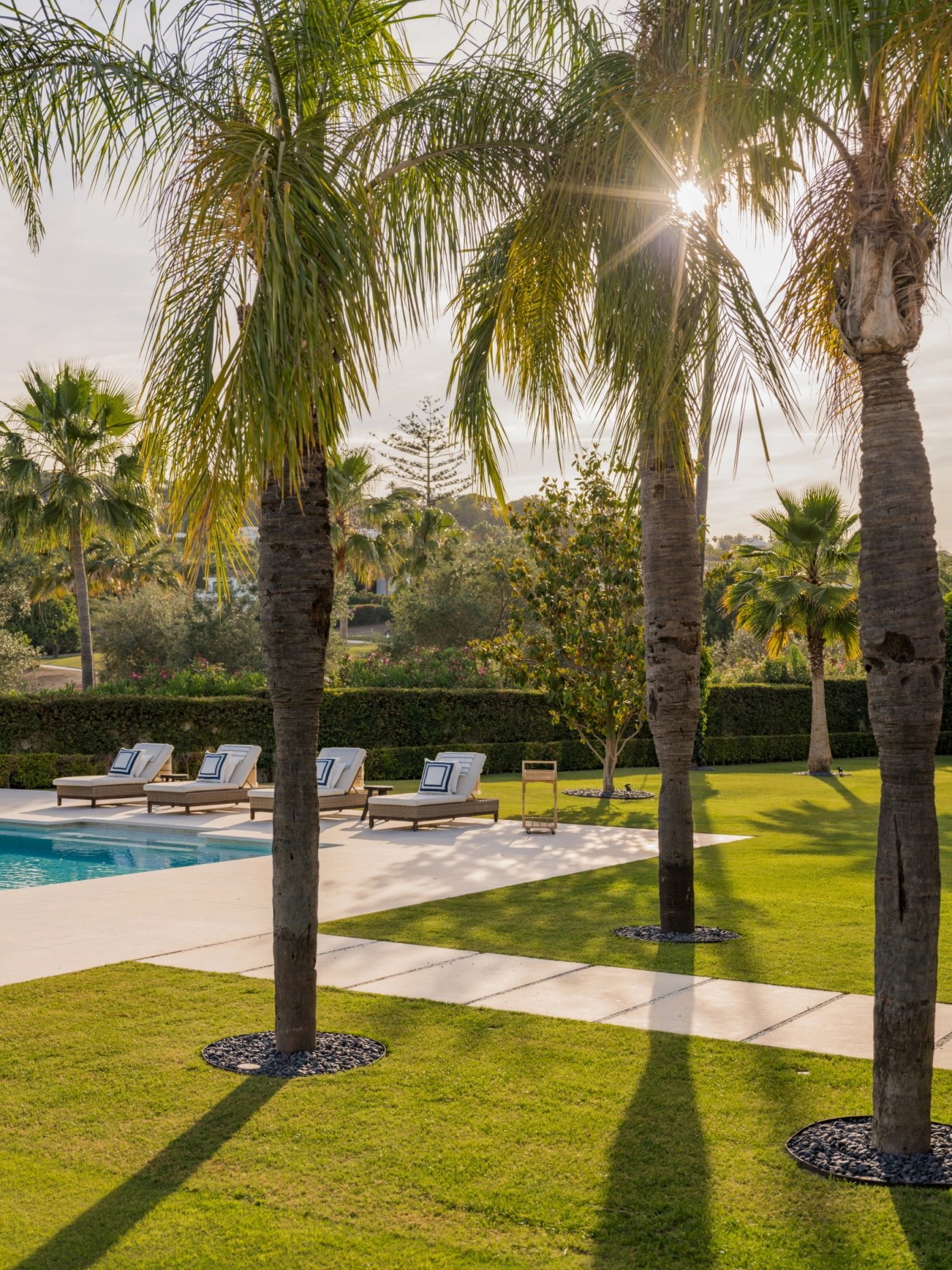Palm trees and sunlit pool terrace at Villa El Olivo, Marbella