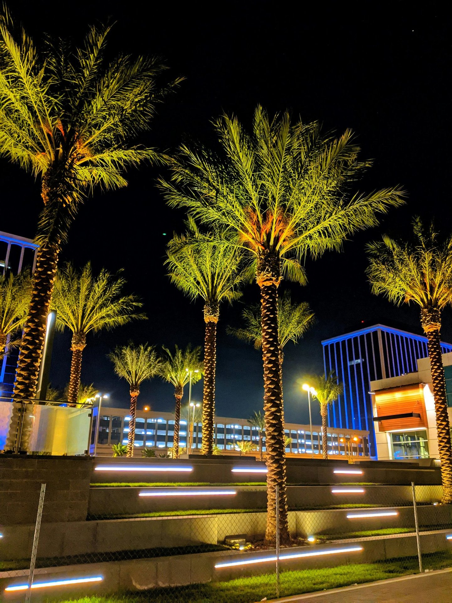 Illuminated palm trees and modern city buildings at night with neon architectural lighting.