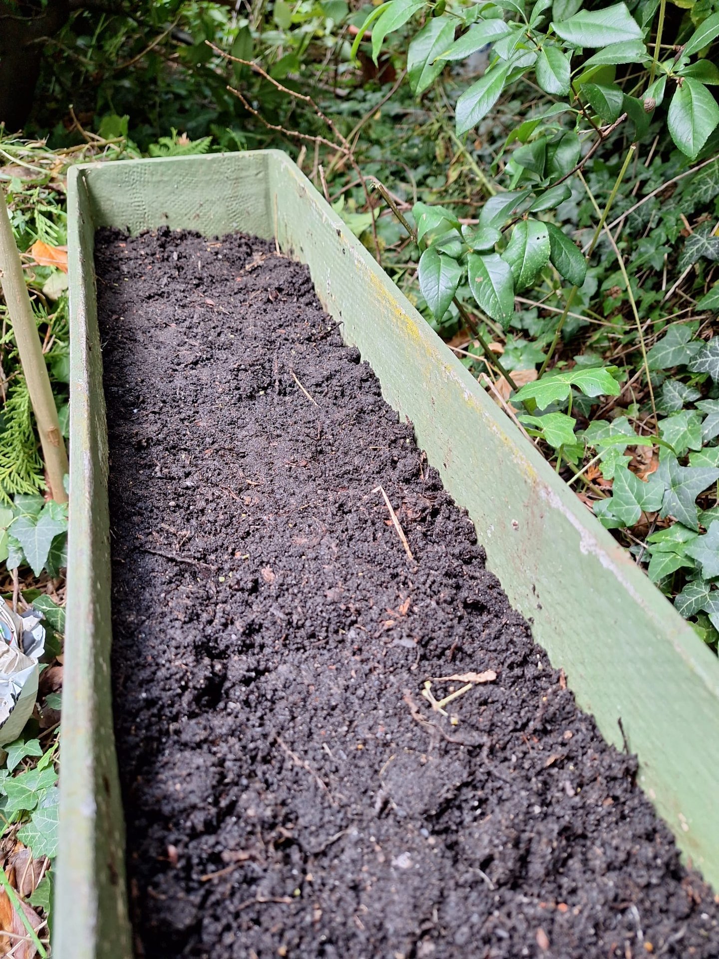 a well prepared soil for planting herb seeds