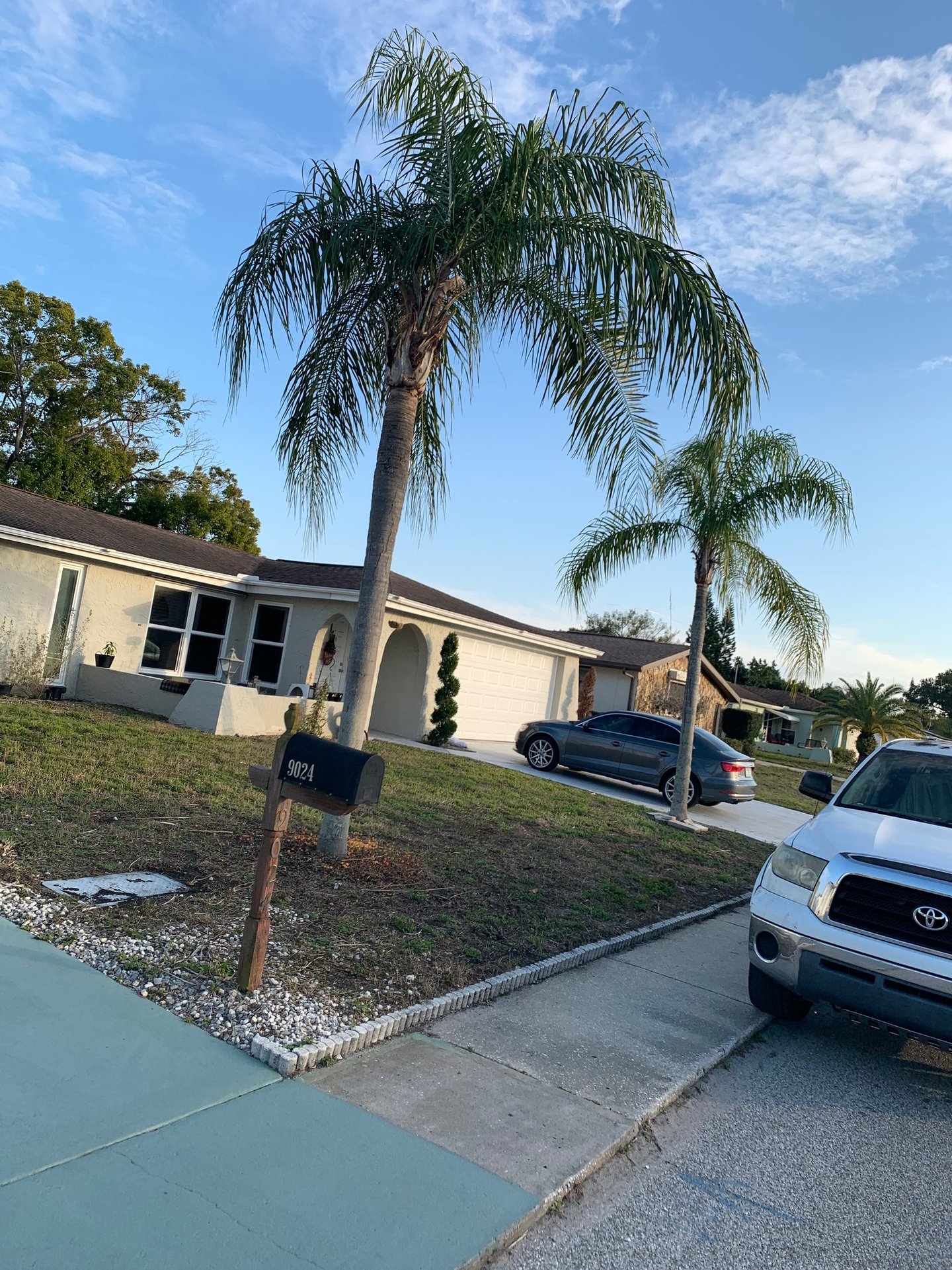 A Florida suburban home with palm trees, a green lawn, and parked cars under a blue sky.