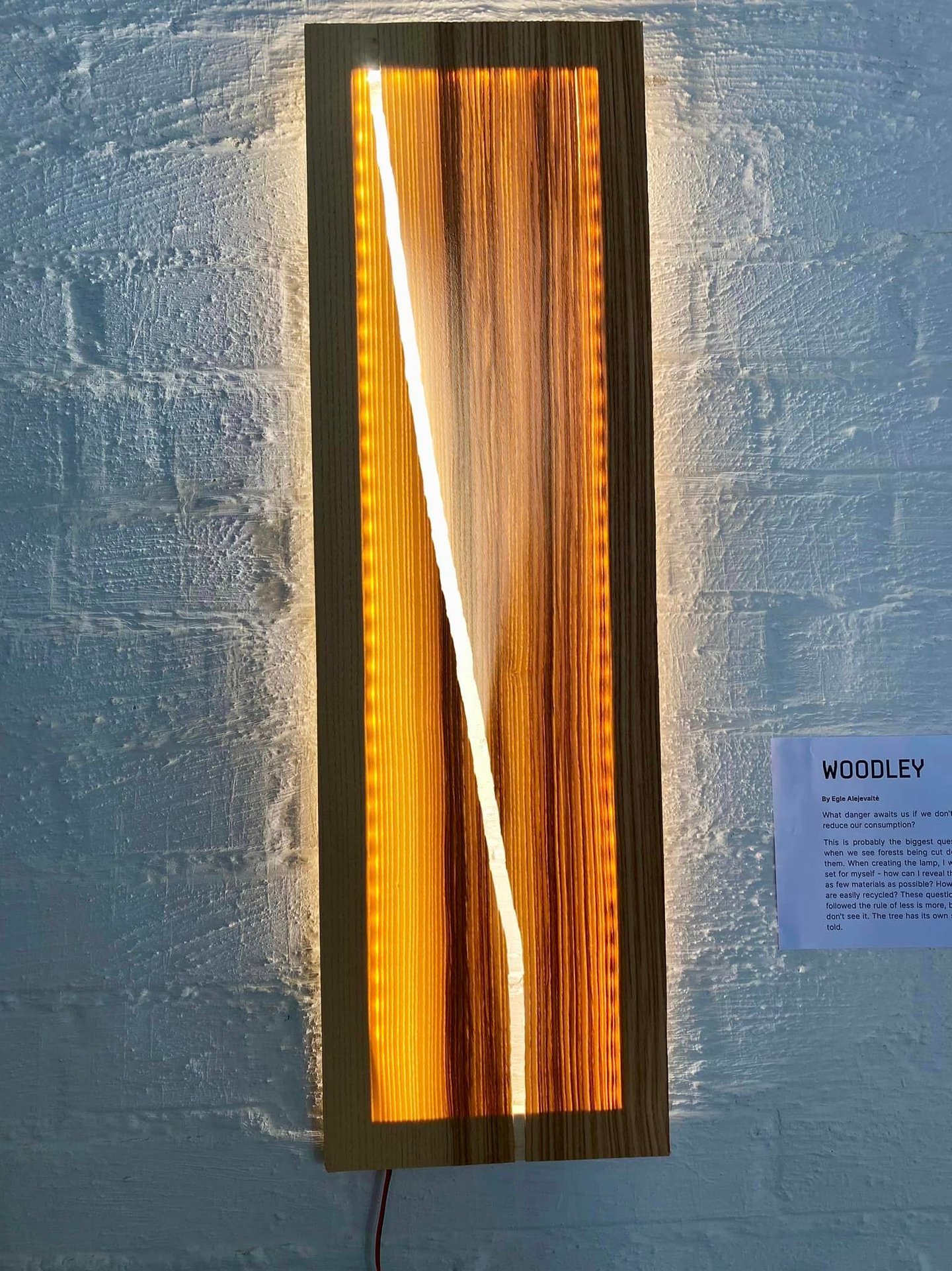 LIMITED EDITION WALL LIGHT BY EGLE ALEJEVAITE WWW.EGLEDESIGN.NET