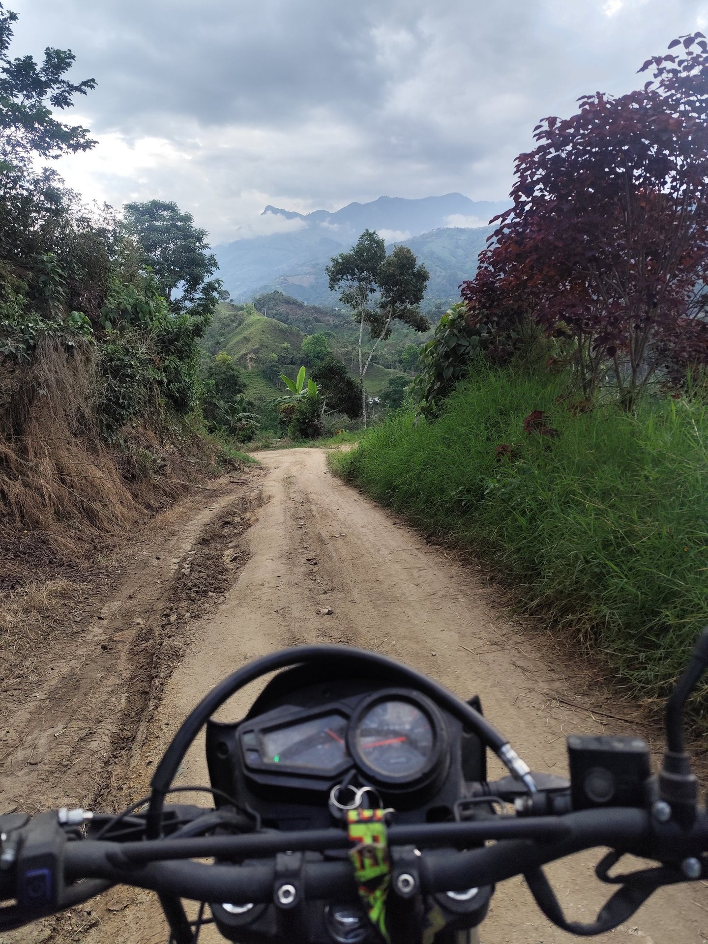 Observación turística gratuita en finca rural de montaña