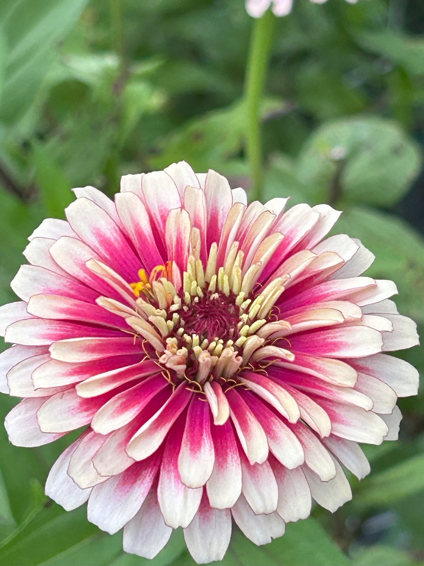 God's beauty is amazing!