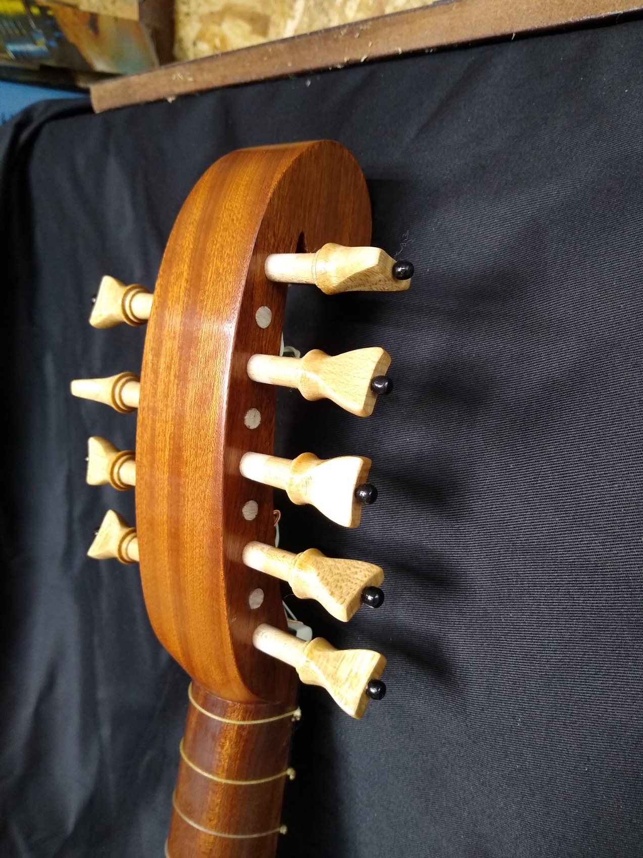 Maple pegs with Ebony pips