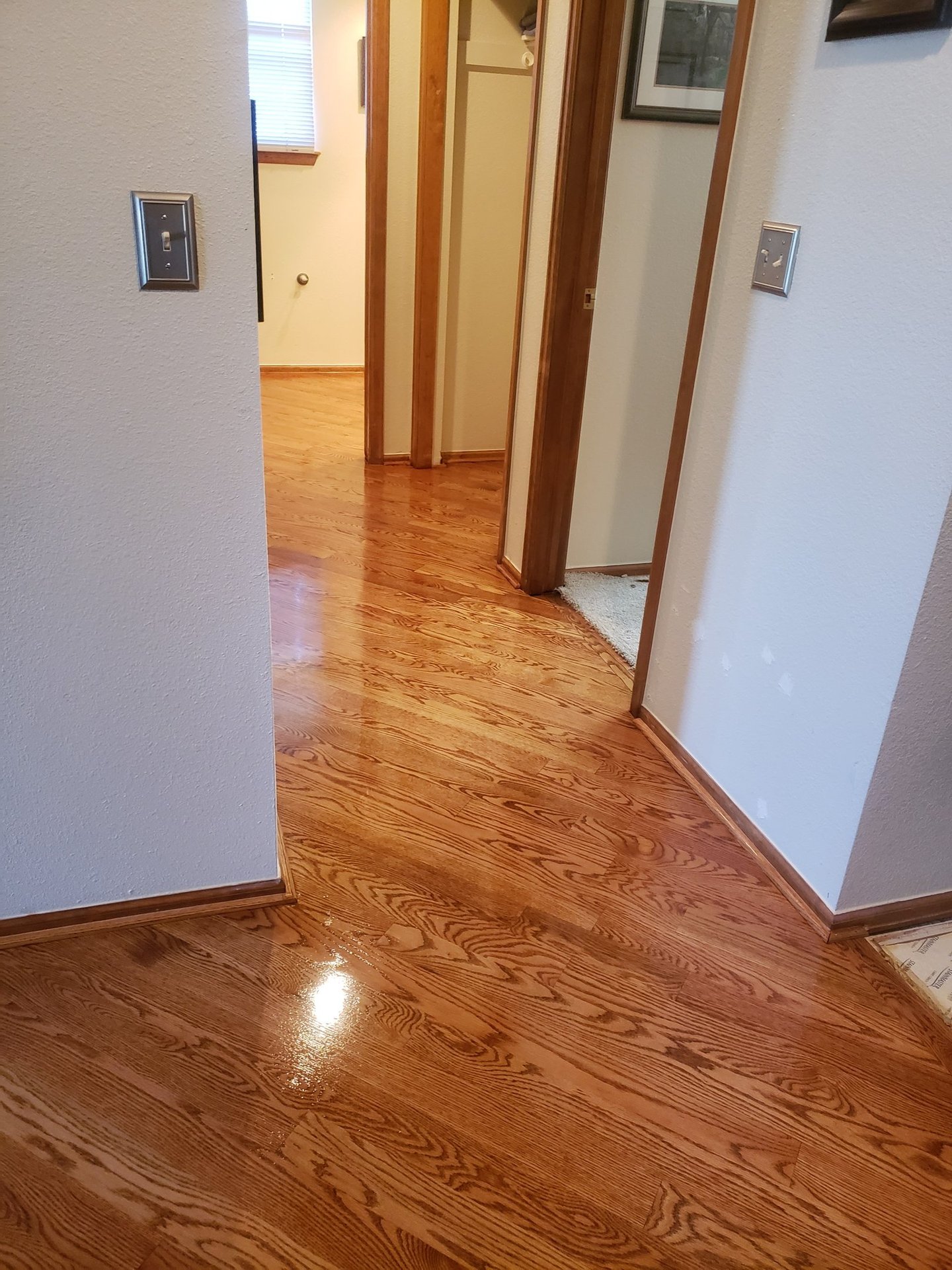 Polished red oak hardwood flooring with a glossy finish in a home hallway and entrance.