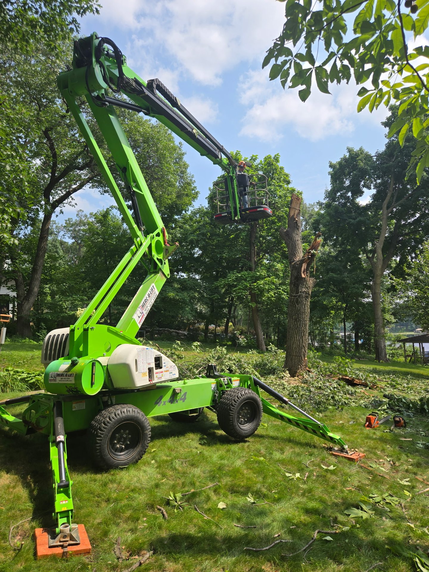tree removal services in eden prairie mn
