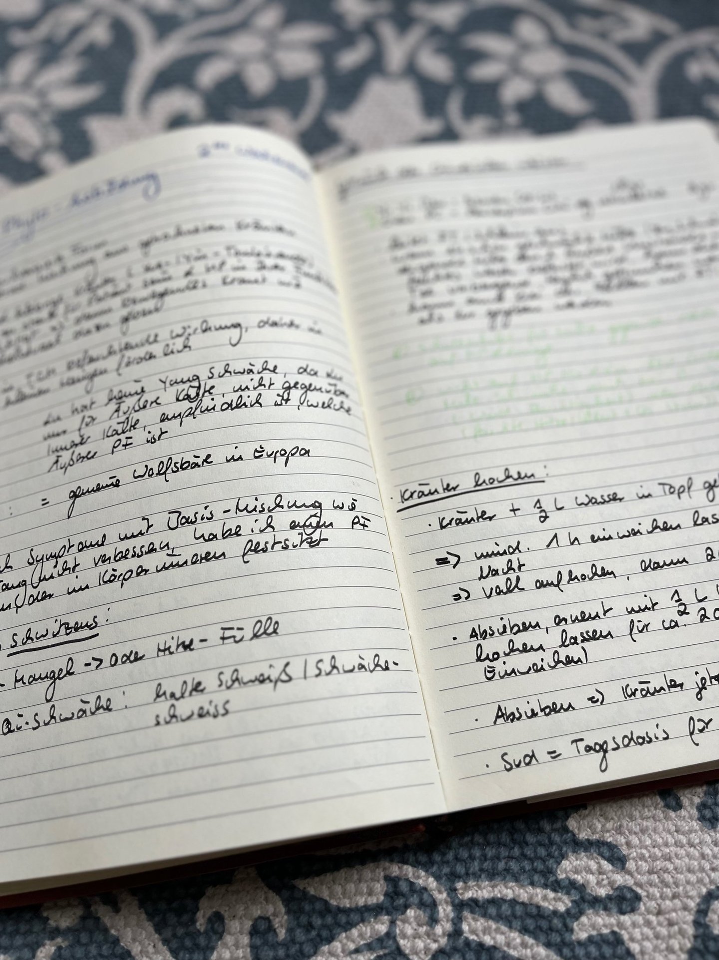 Blog about Traditional Chinese Medicine, Animal Communication and Animals