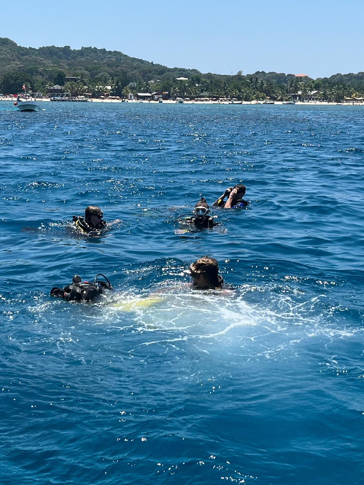 Scuba divers floating in the ocean near a tropical beach with green hills in the distance.