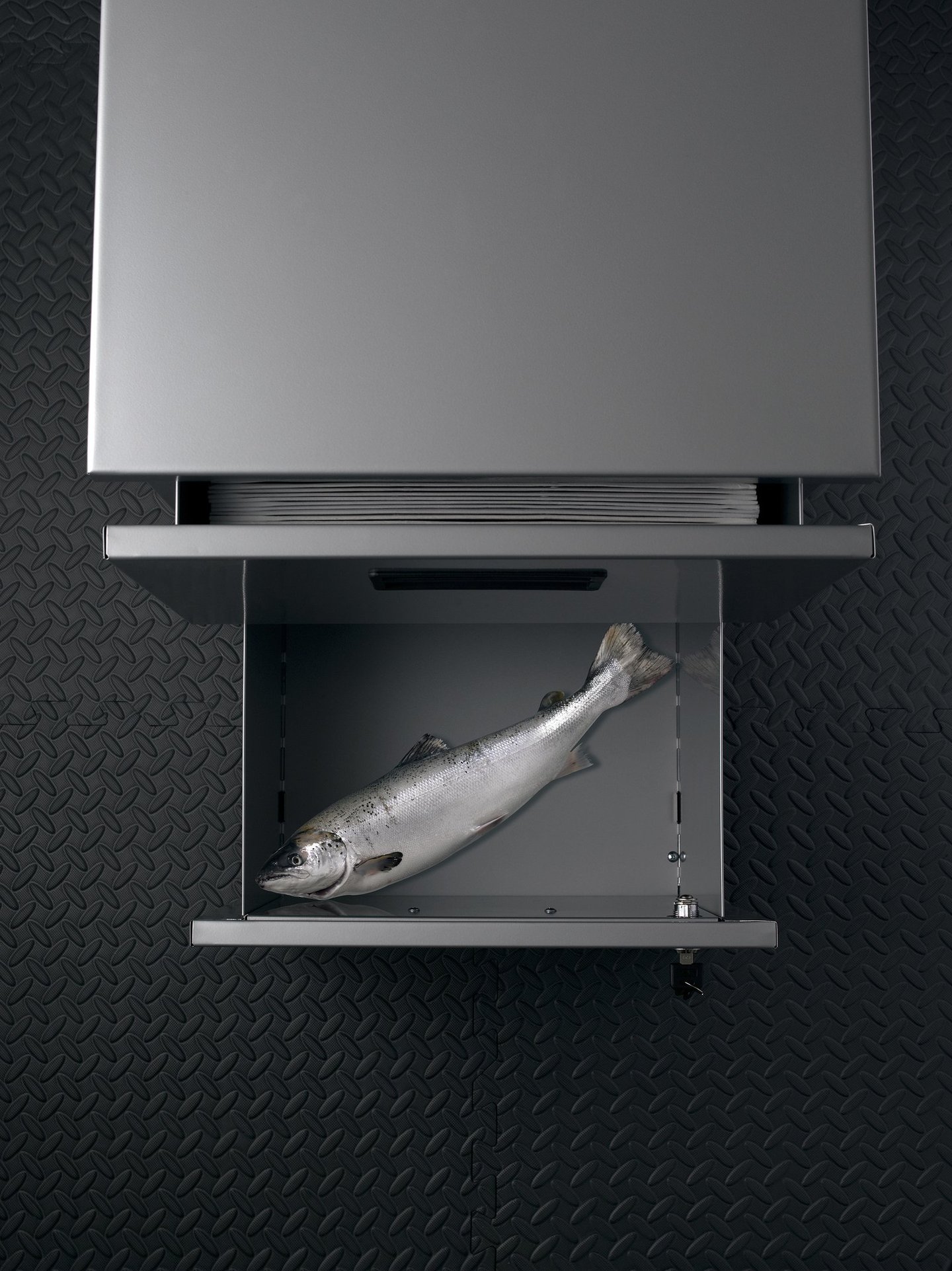 steel filing cabinet on a textured rubber floor with a fish in the open bottom drawer