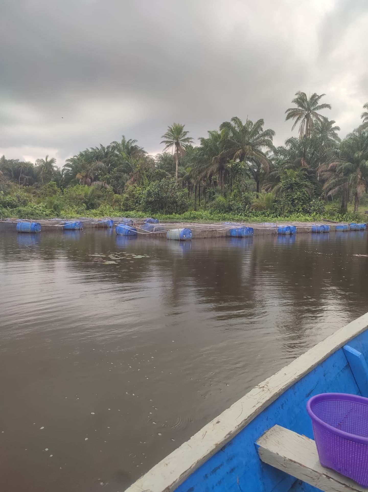 Lac artificiel où sont élevés les poissons alevins