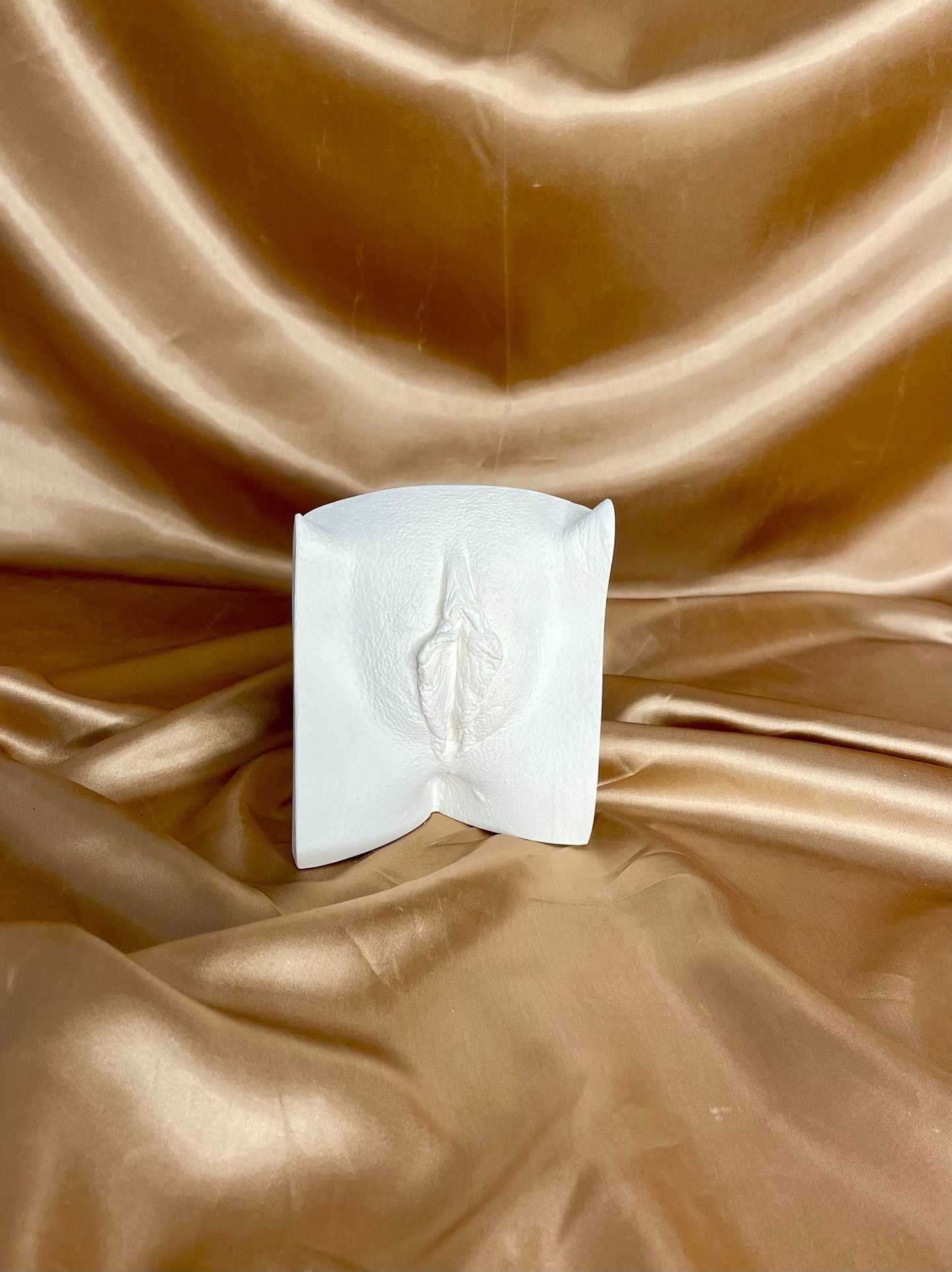 Vulve en plâtre posé sur fond doré - Moulage intime Bordeaux