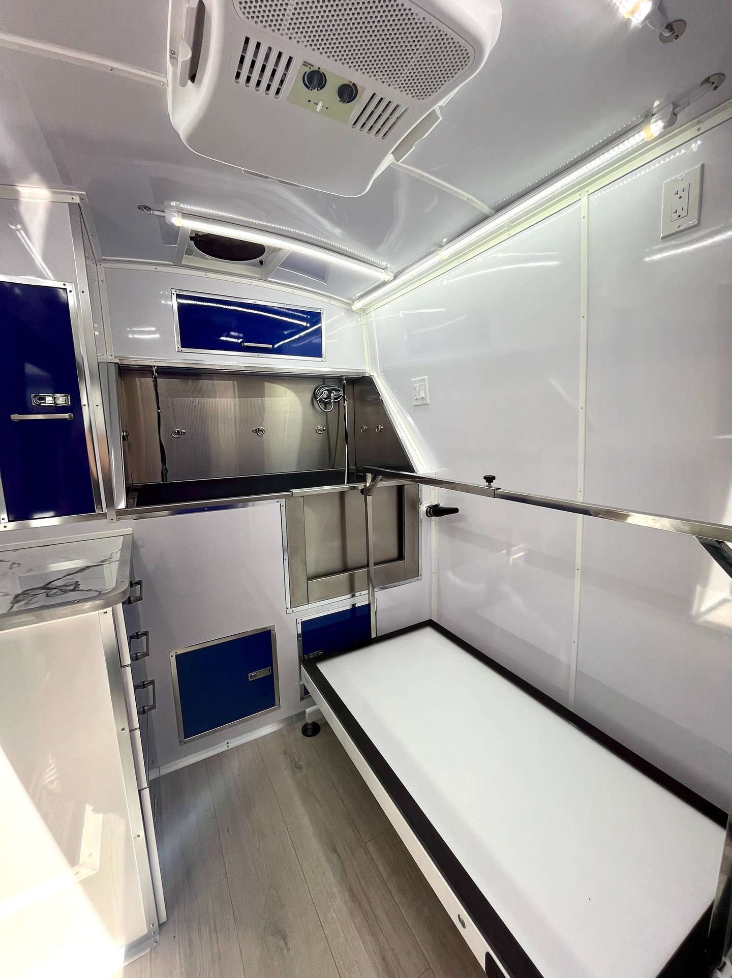 Professional grooming table and stainless steel bathing tub