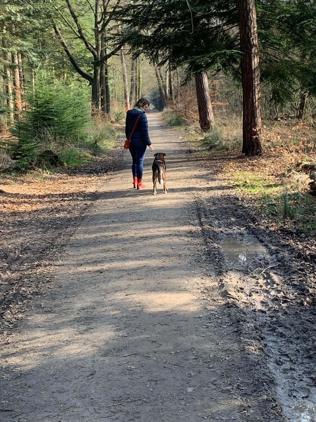 a person walking down a dirt road with a dog