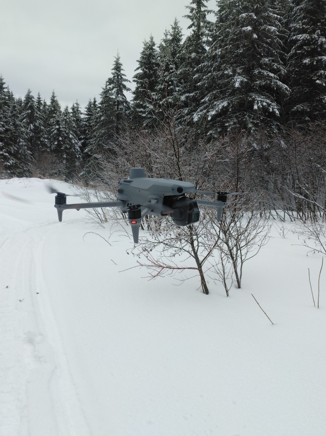 Drone foresterie