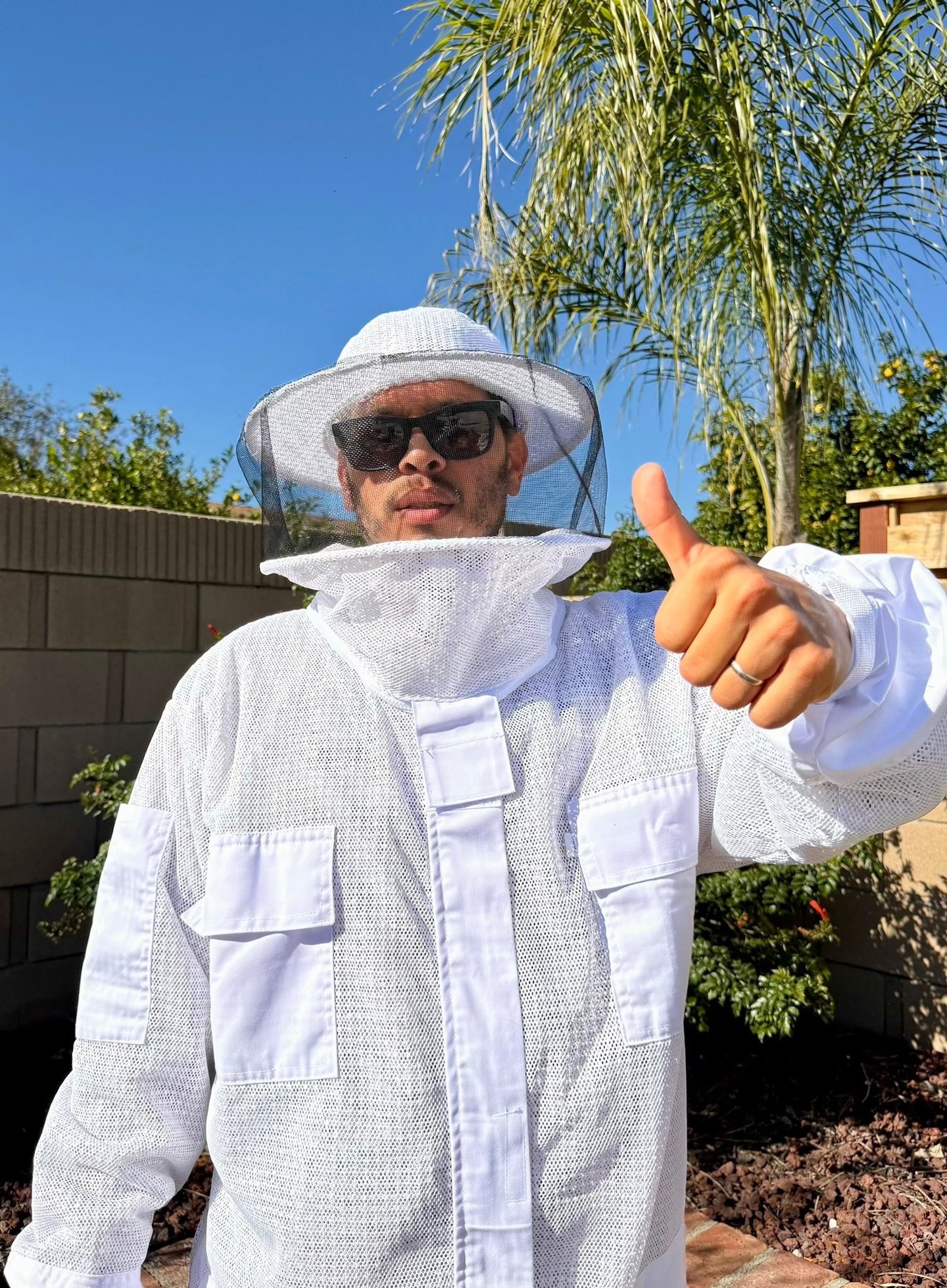 Pest Control in Menifee, Murrieta, and Temecula Bee Treatment Service Footprint Pest Management