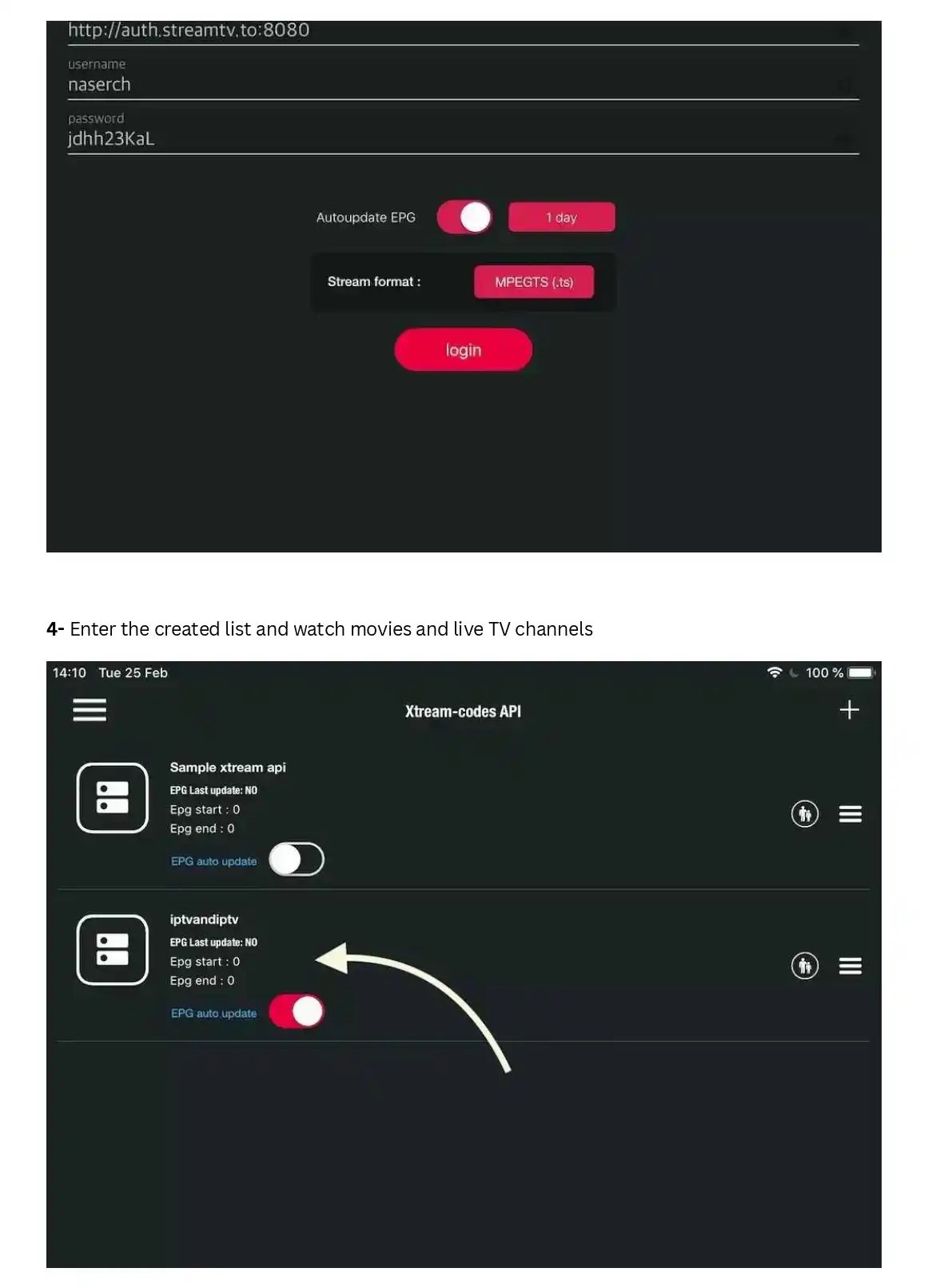 Screenshot of Xtream Codes API login and IPTV playlist setup for streaming live TV channels.