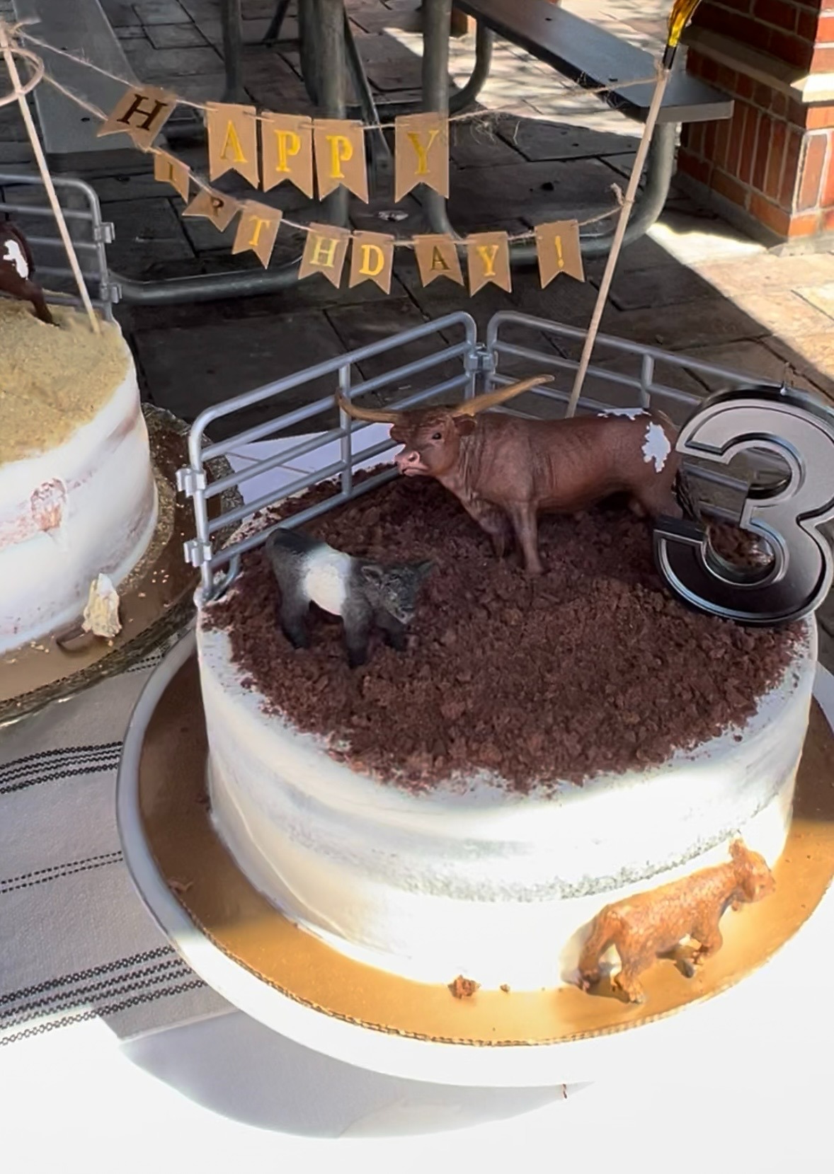 Rodeo Cake Time!