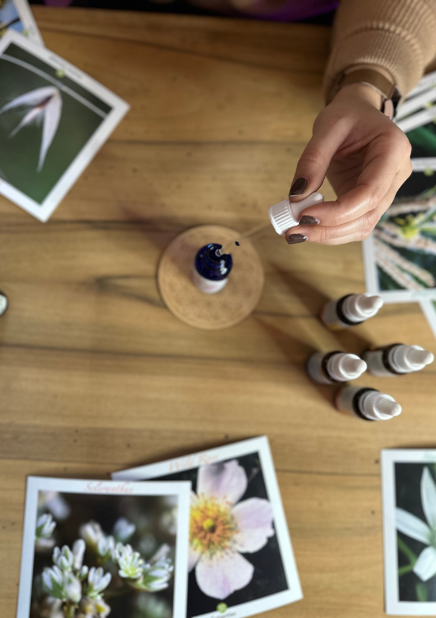 fleurs de bach, accompagnement émotionnel holistique, énergétique