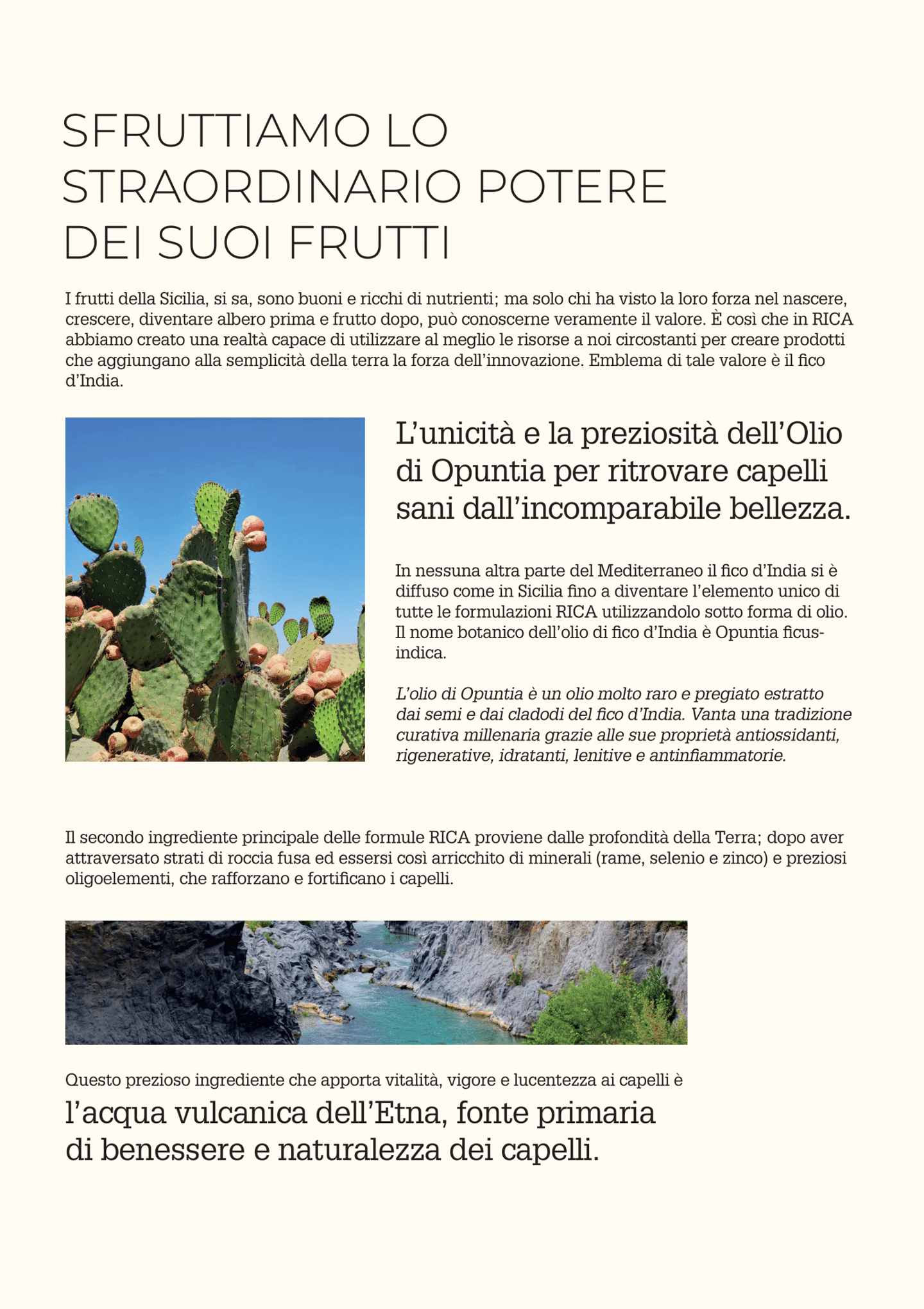 a page spread about the benefits of the fruit