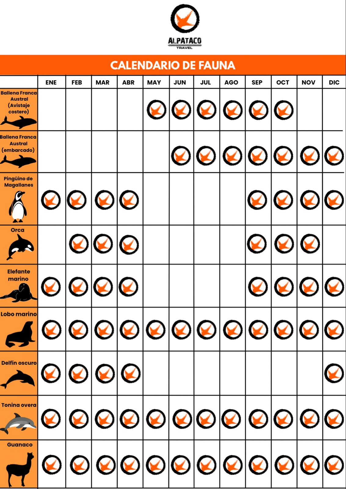 Calendario de fauna Puerto Madryn y Península Valdés Alpataco Travel