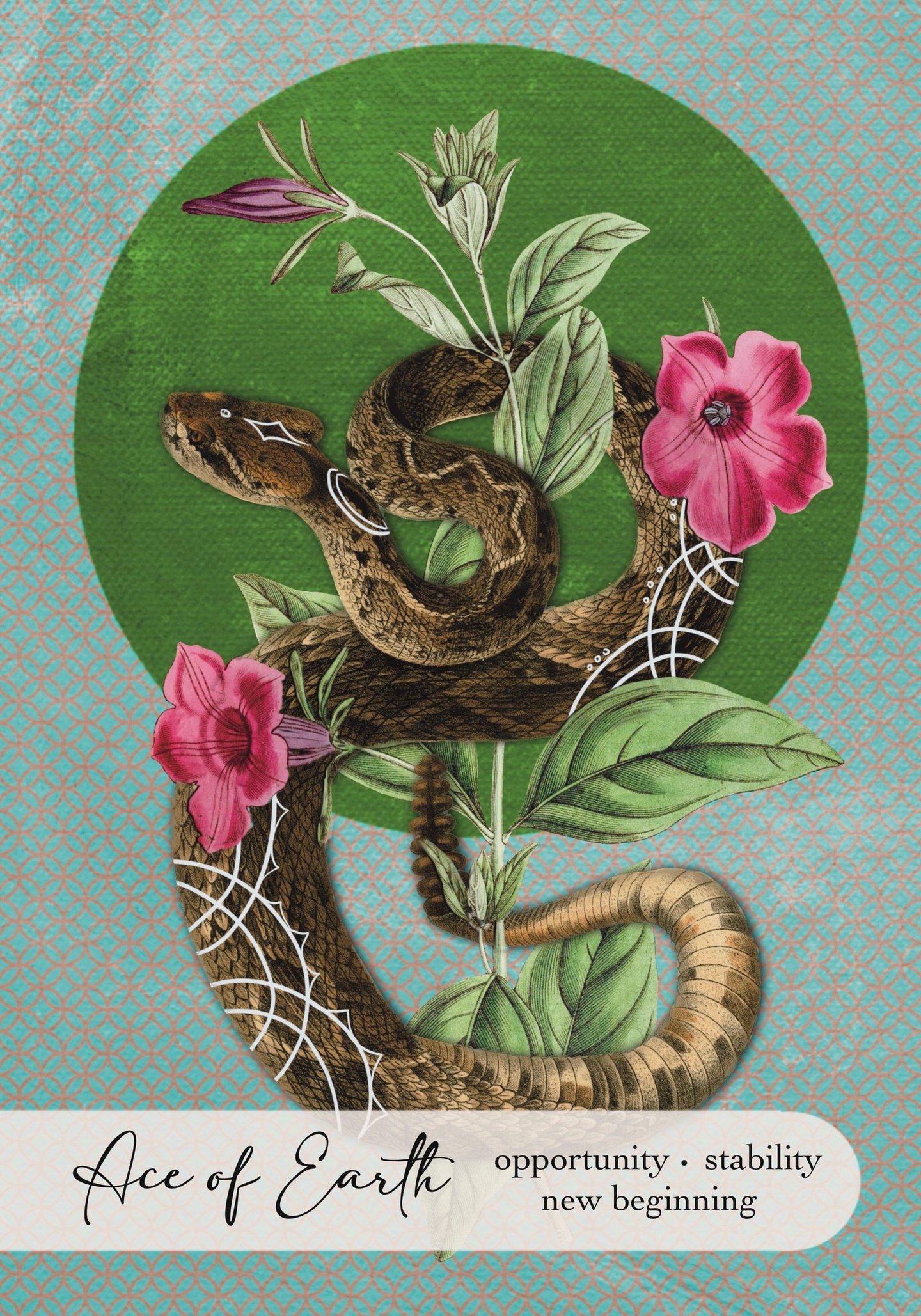 Ace of Earth, Wise Earth Medicine Tarot