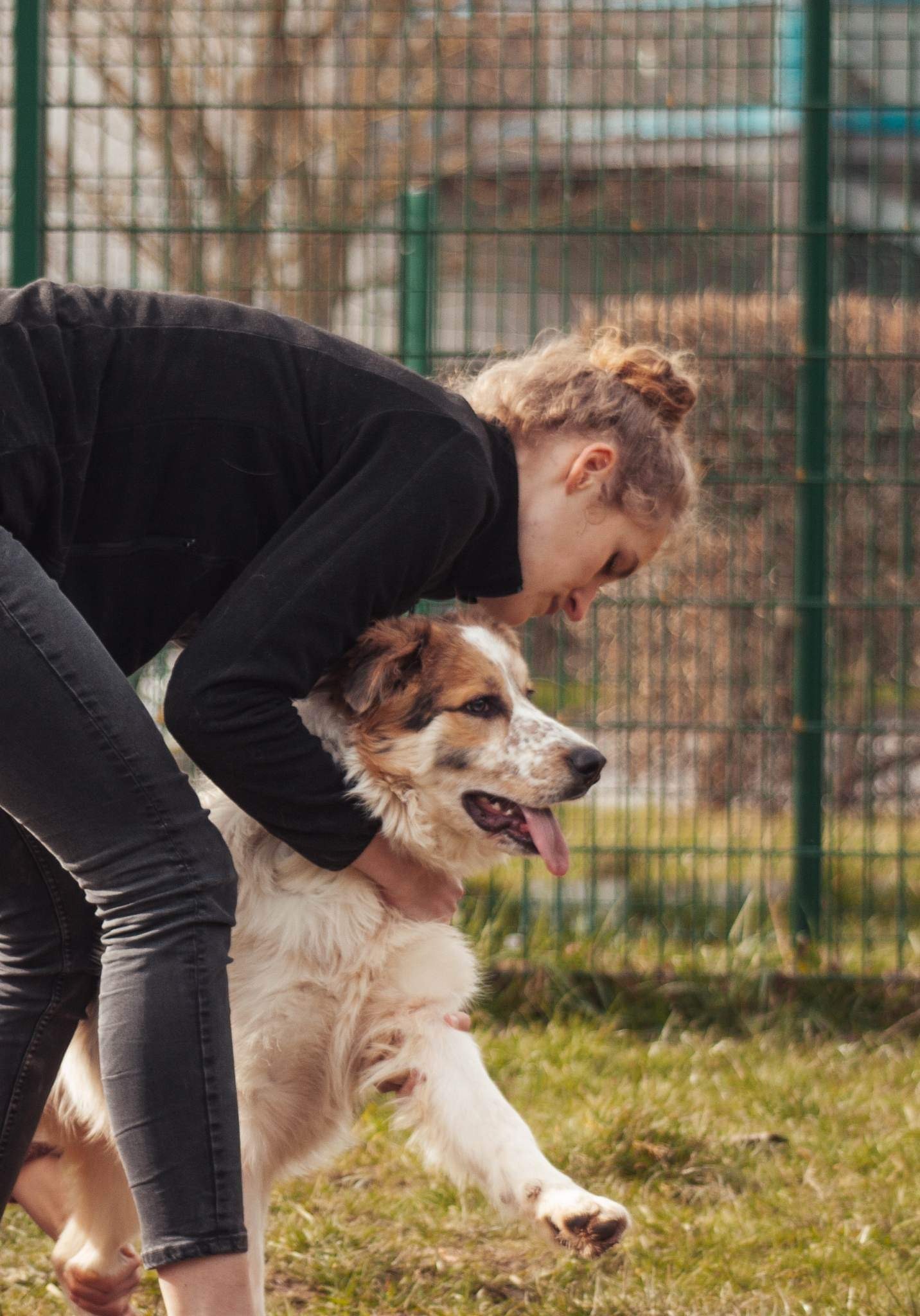 Séance d'ostéopathie animale pour votre chien en Belgique