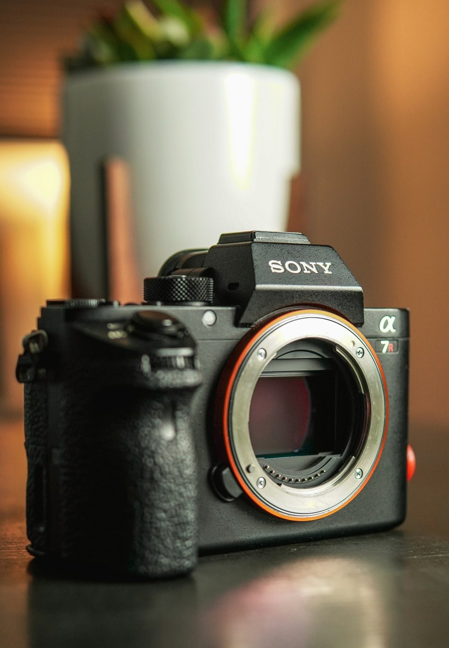Close-up of a professional Sony A7 III camera body highlighting the full-frame sensor