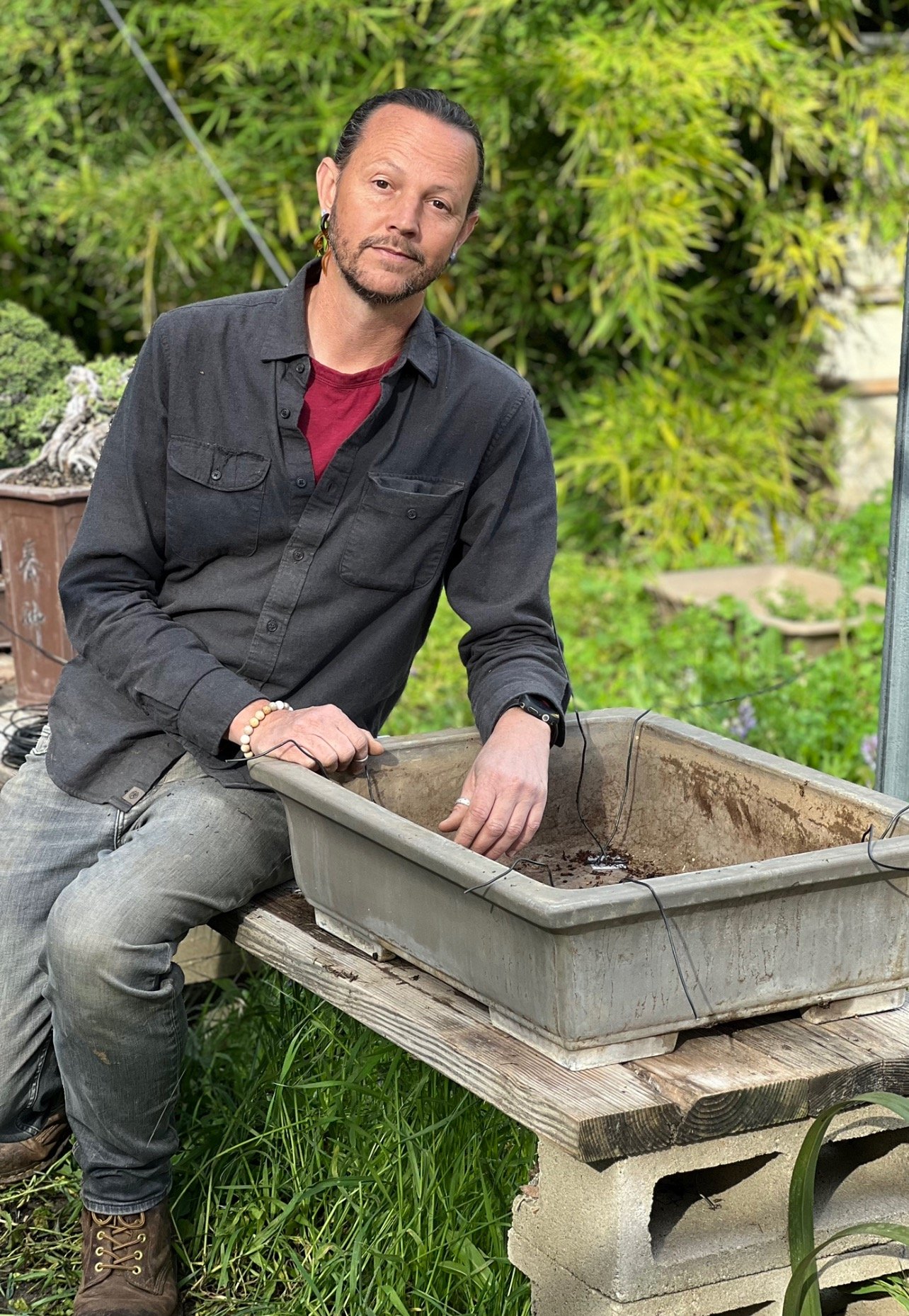 Colin Fraser Purcell, Bonsai Artist