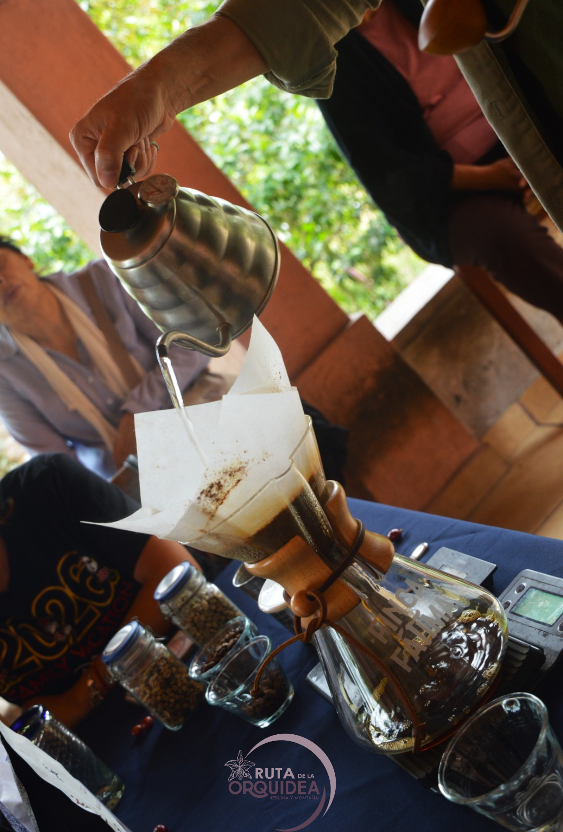 degustacion de cafe en coatepec ruta de la orquidea