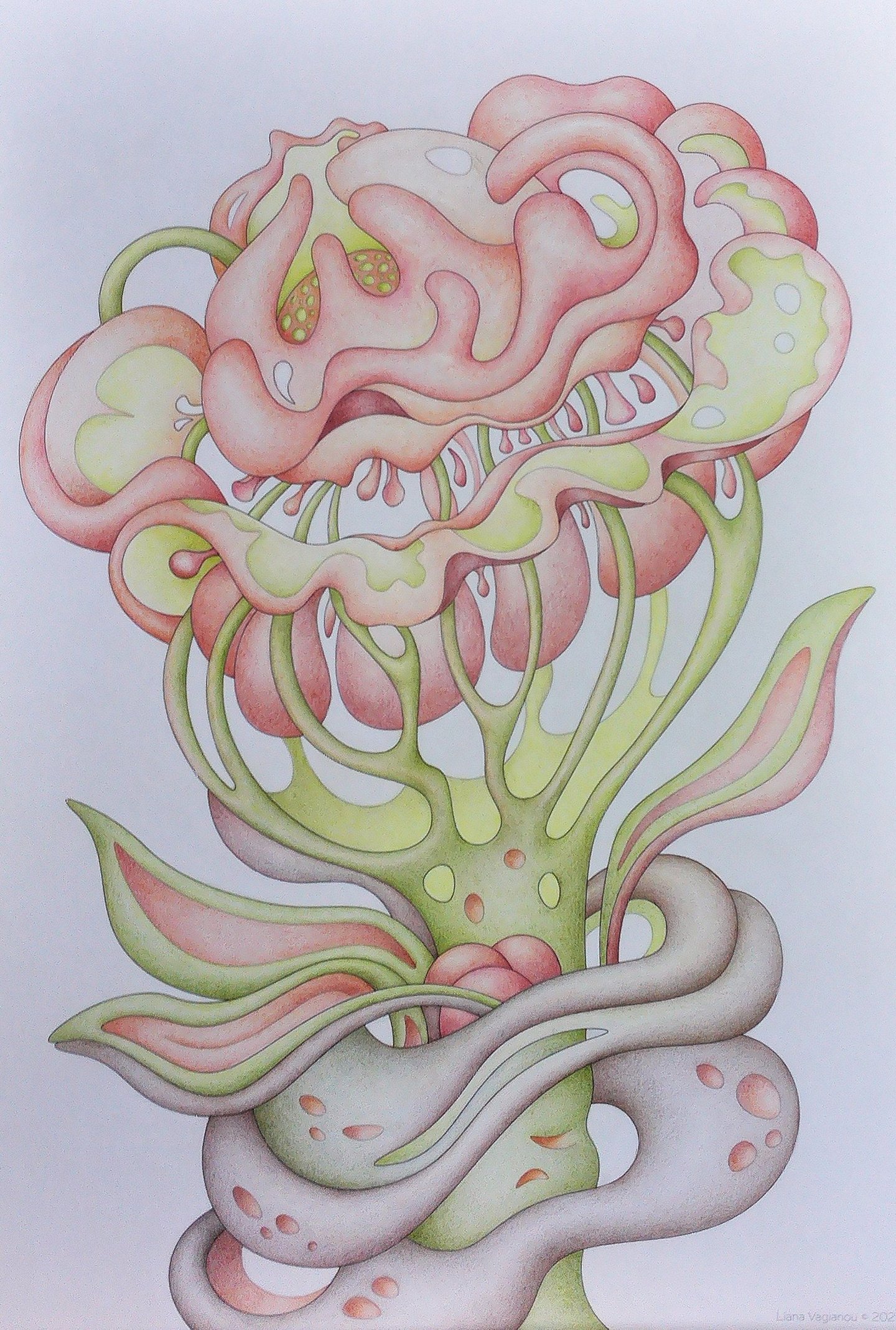 Colored botanical detail from Intuitive Dialogues in salmon pink and earthy green tones.