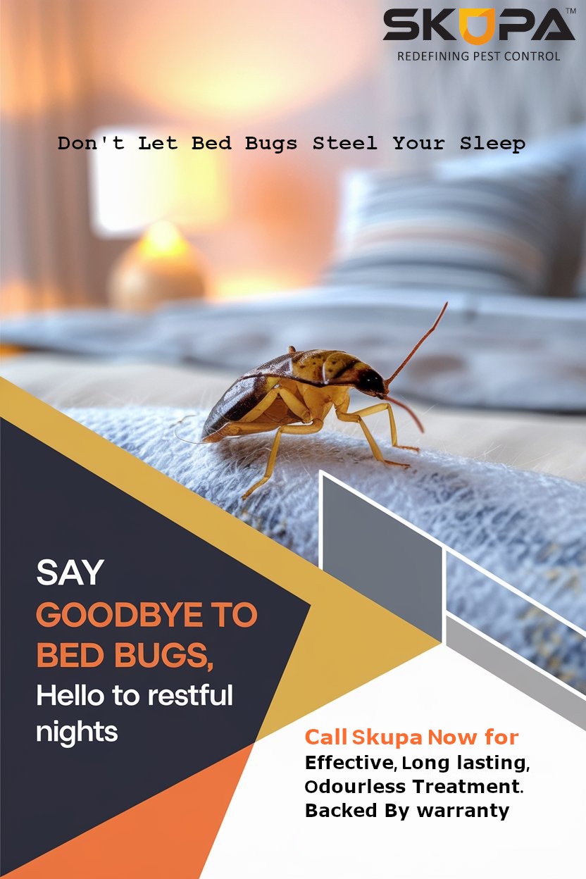 Professional Bed Bugs Control Services in Mumbai by Skupa Pest Control – Safe and Effective Bed Bug 