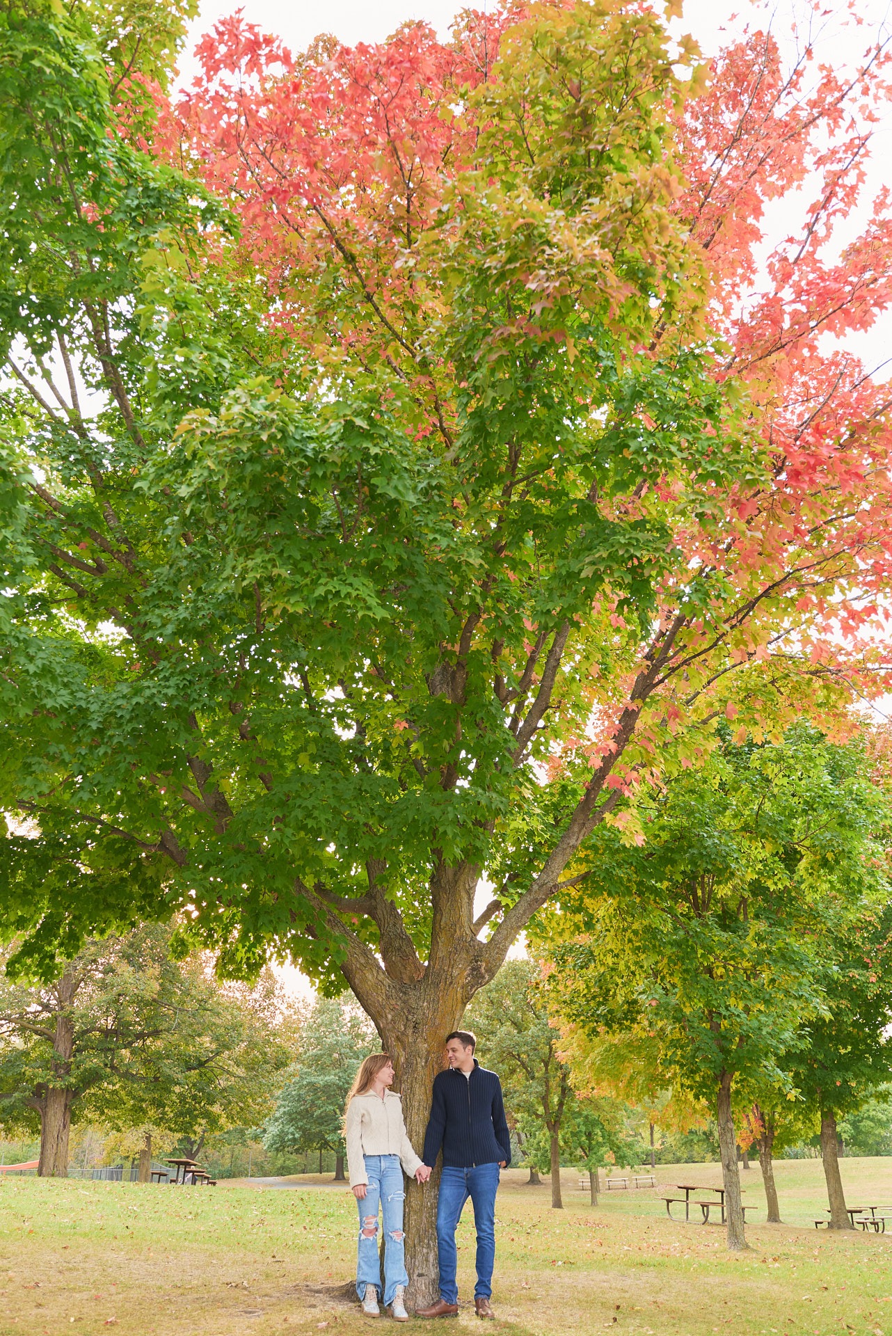 a man and woman standing in front of a tree with red leafs looking at each other