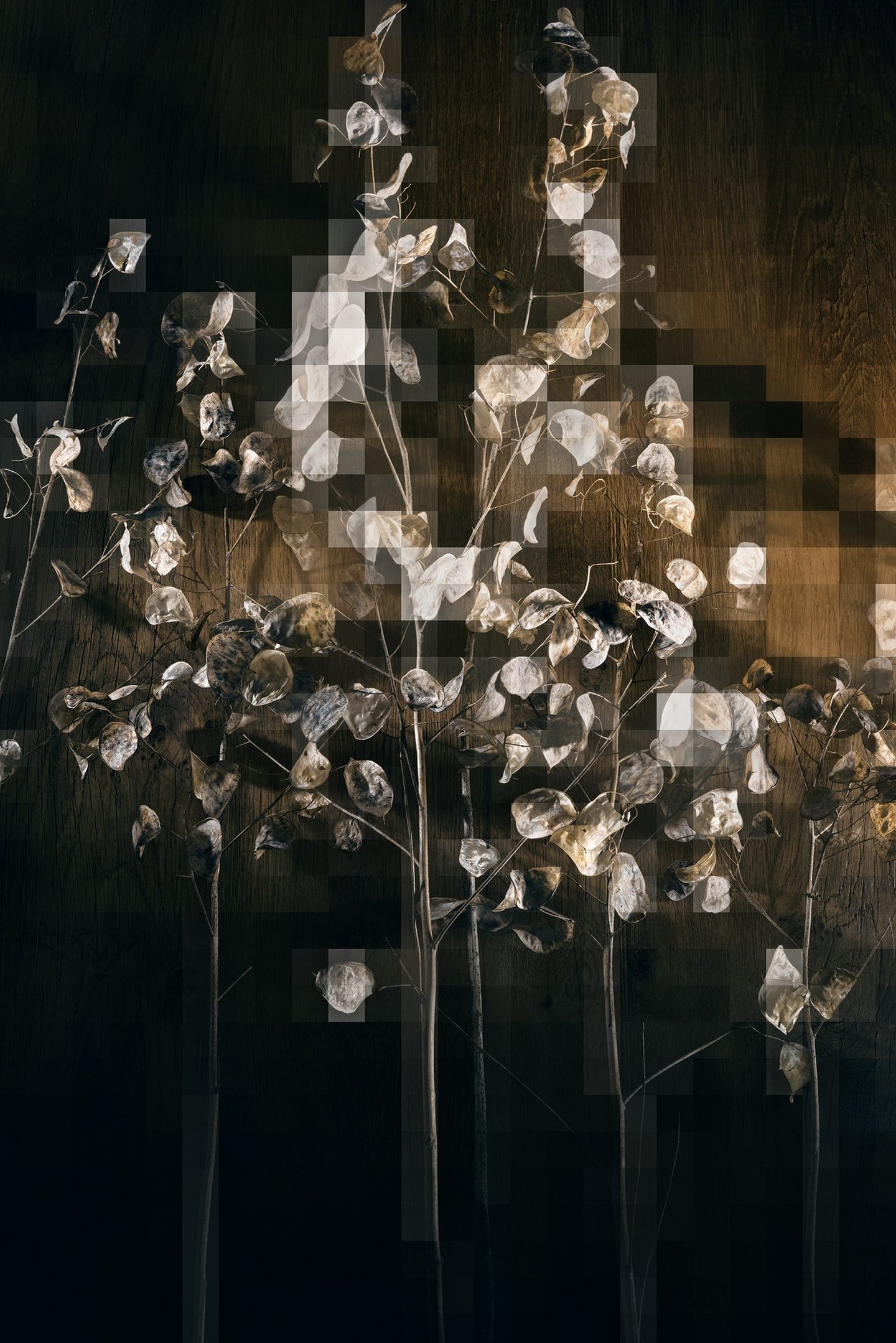 a group of flowers that are sitting on a table
